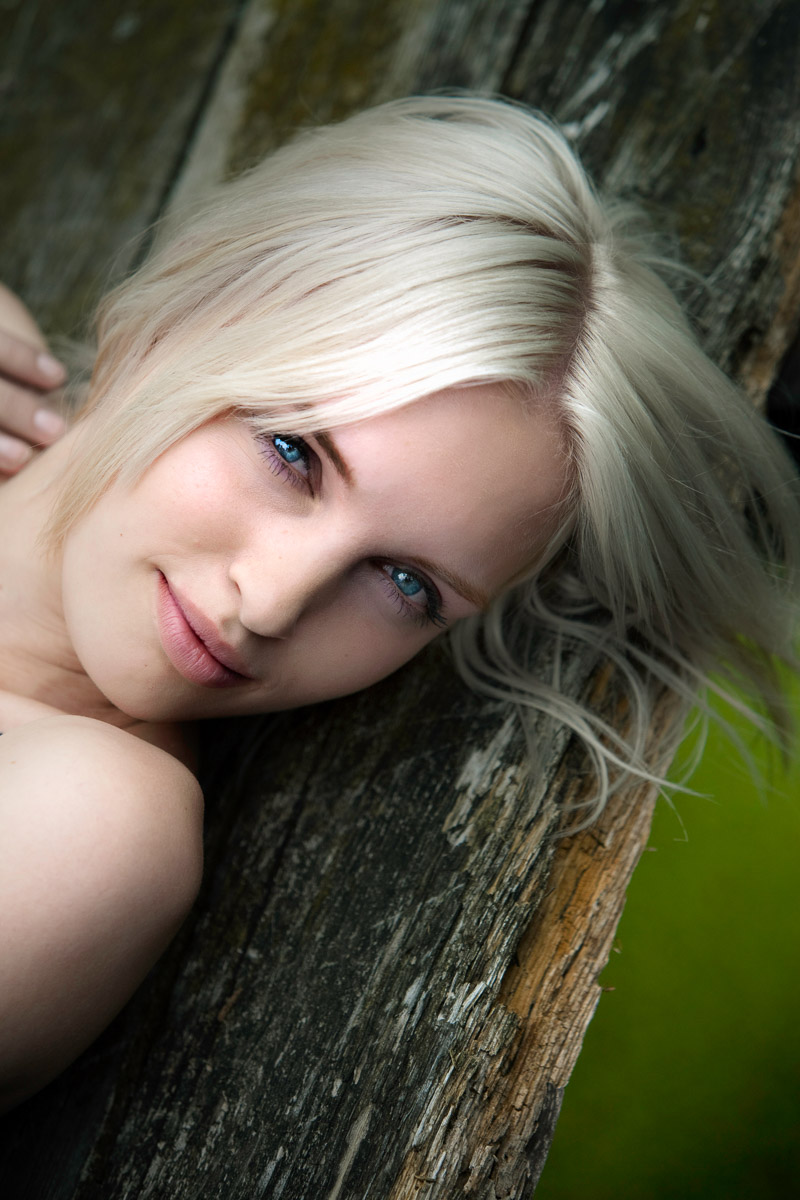 Cibo per Sogni (versione a colori)