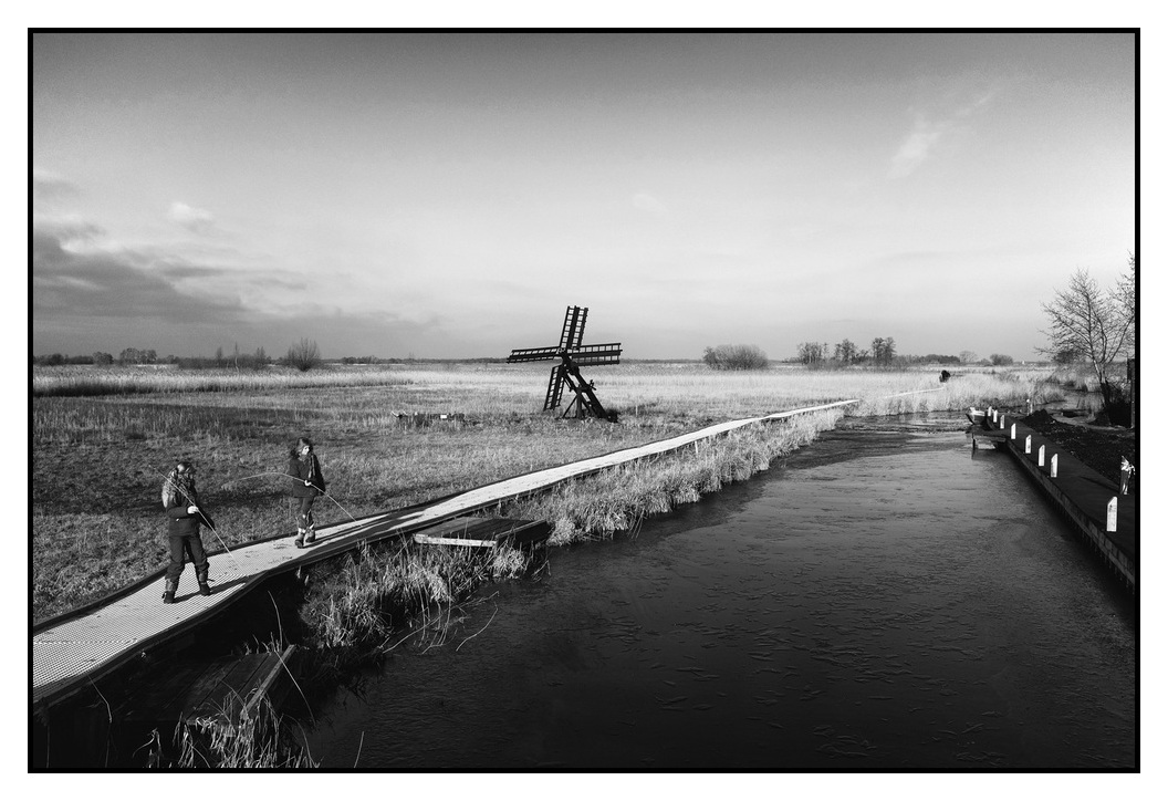 National Park the Weerribben, Holland