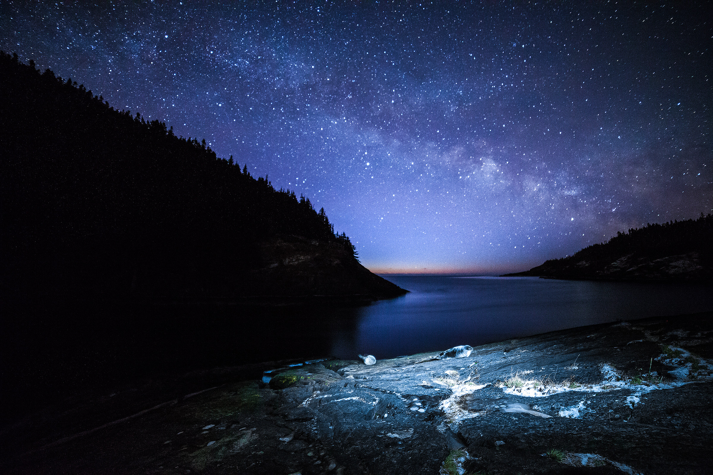 Unexpected night encounters