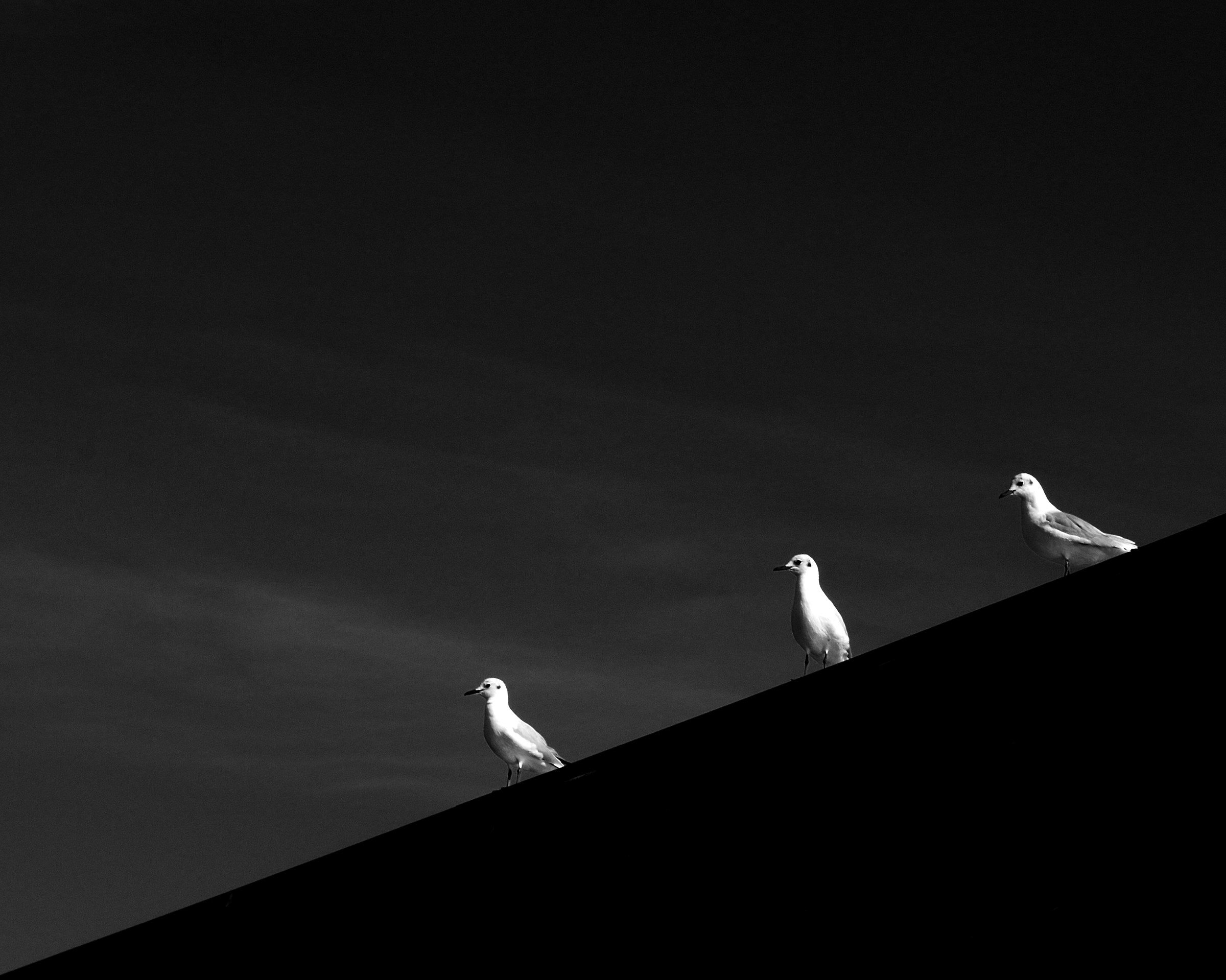 from what time it's all downhill