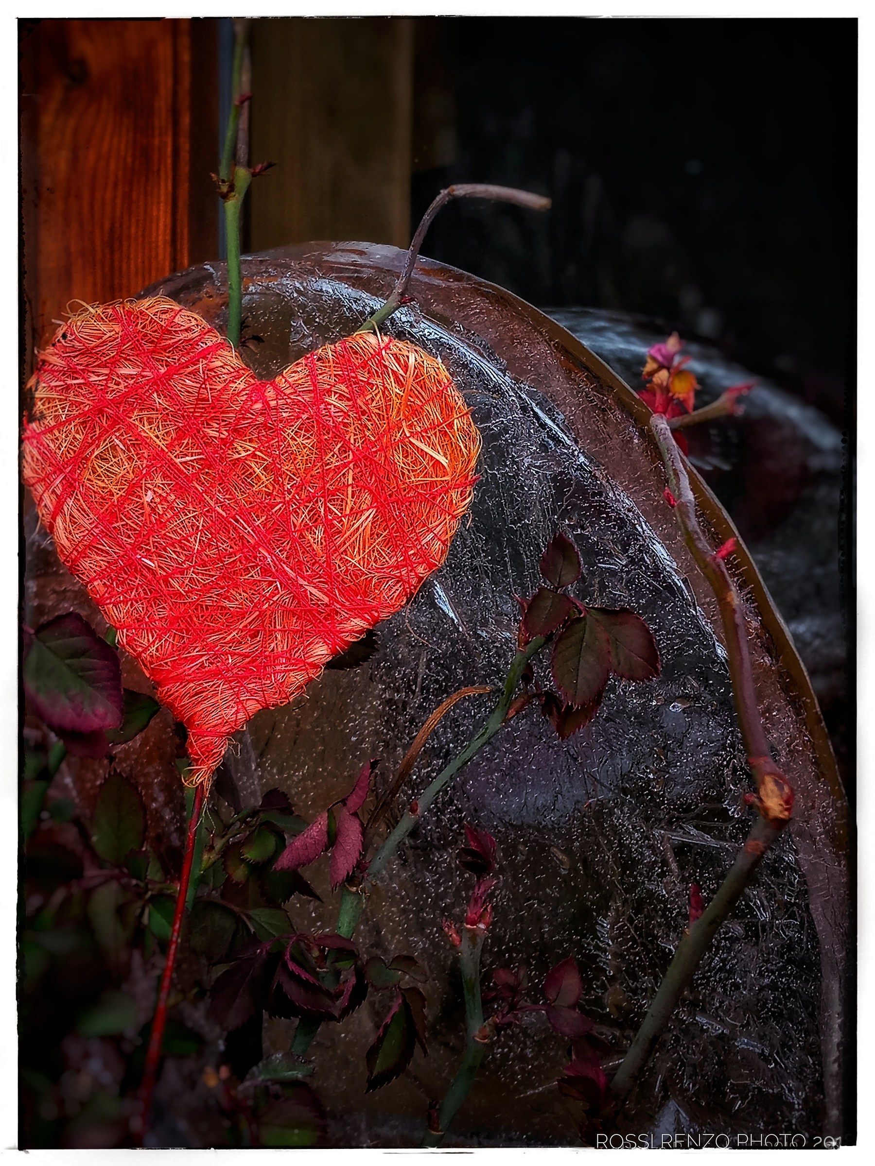 contrasti sentimentali