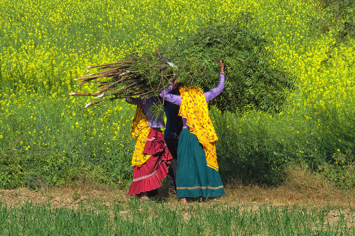 The strength of women