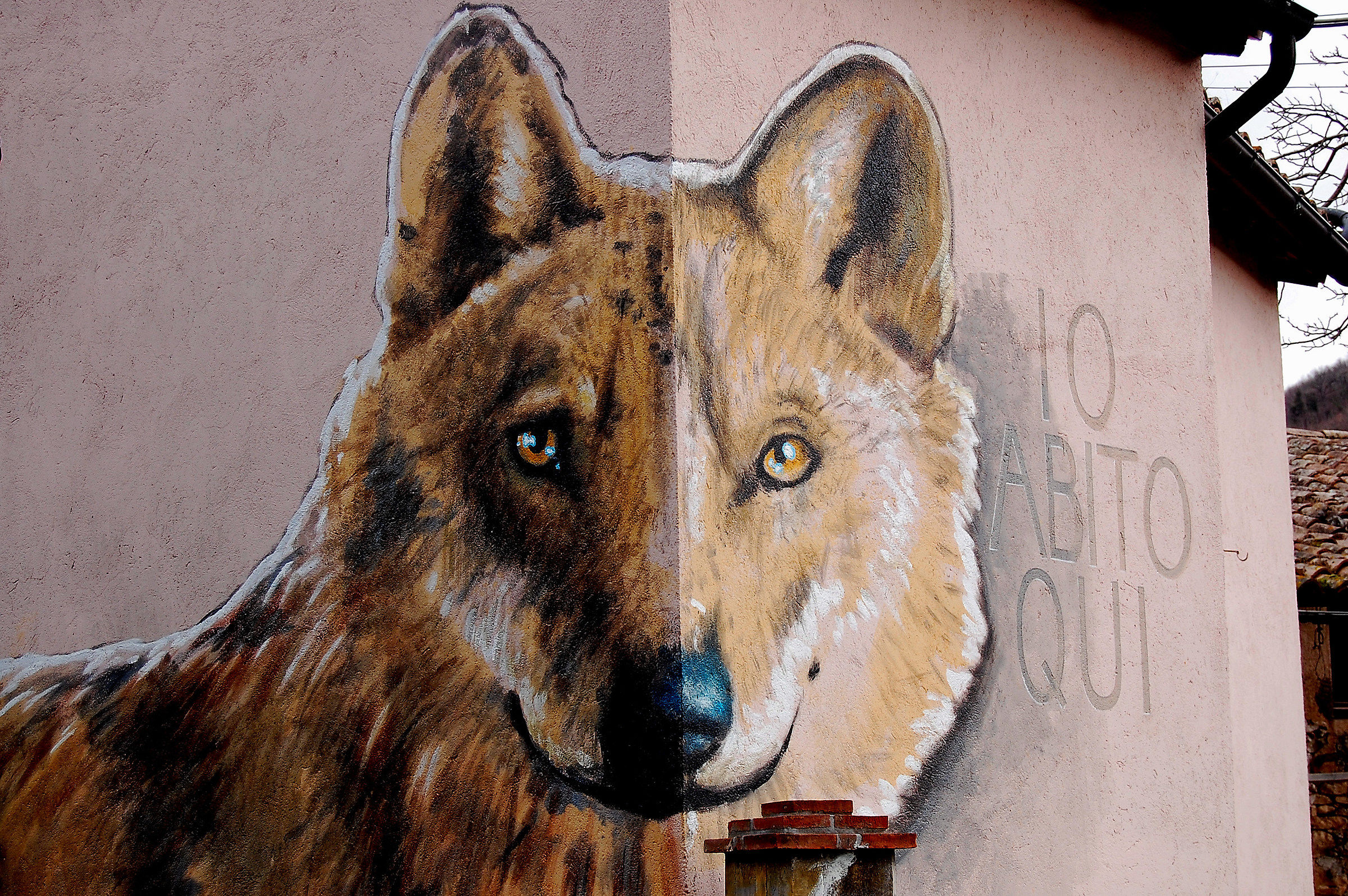 Braccano (mc): sempre all'erta