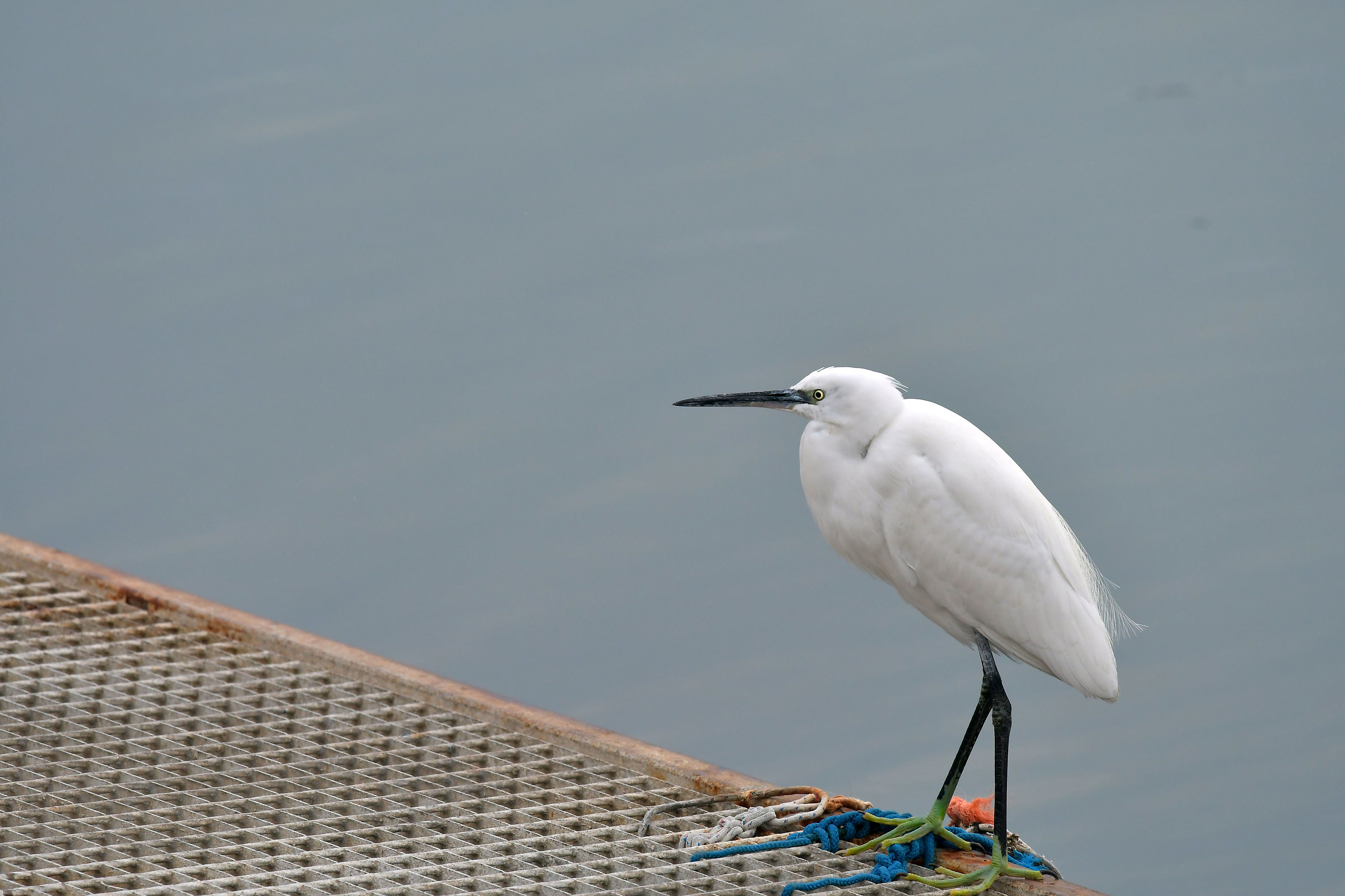 A sinistra non c'è nessuno