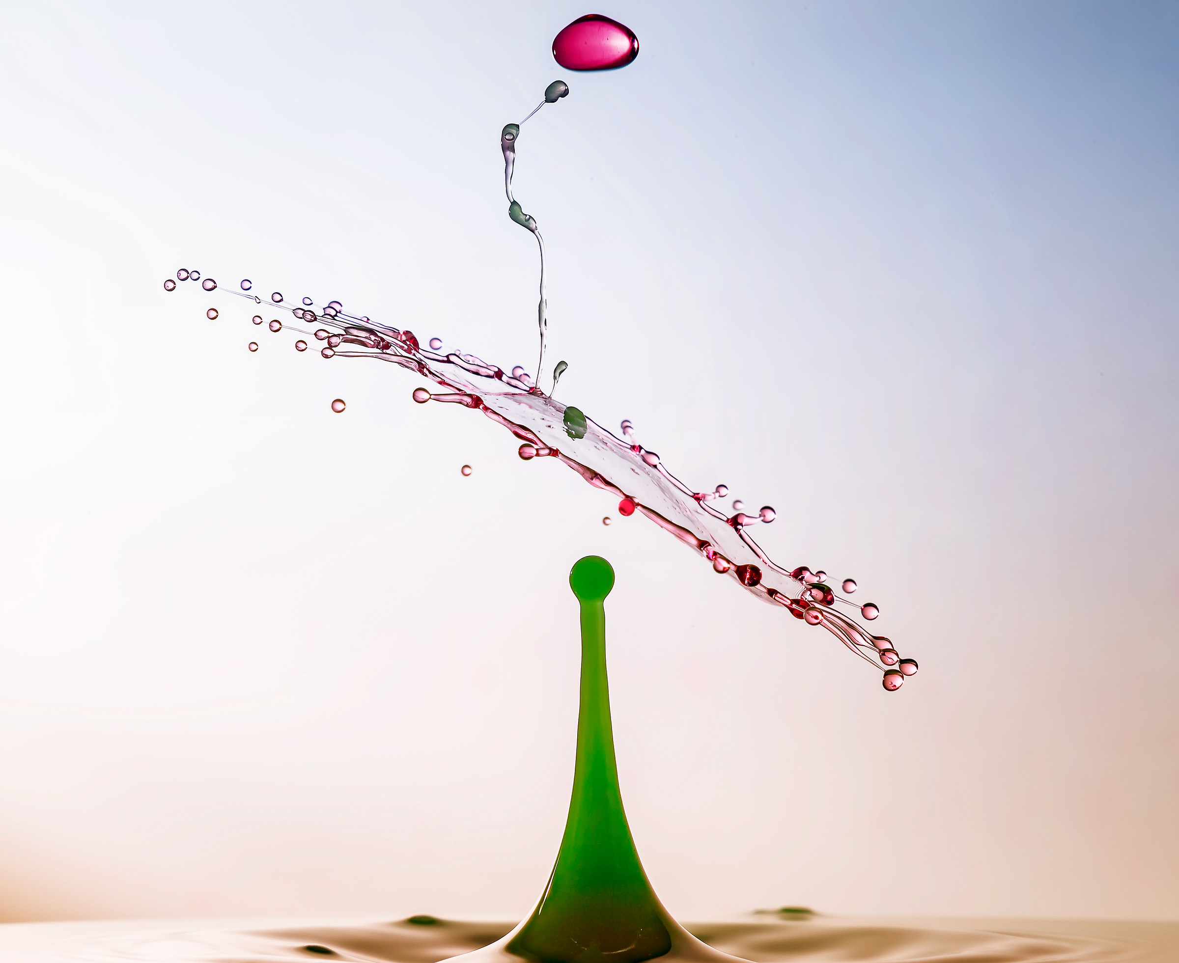 Drop Art-Omaggio floreale.