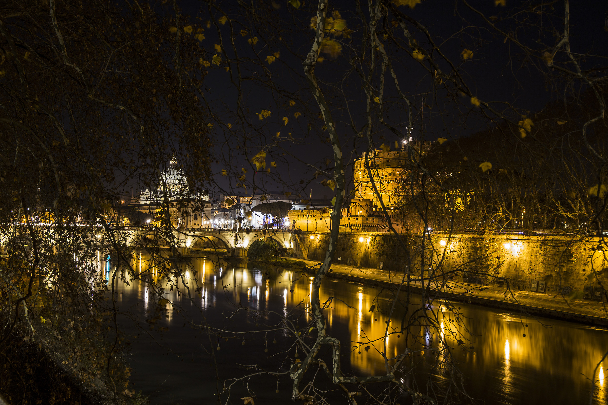 La storia dietro i rami