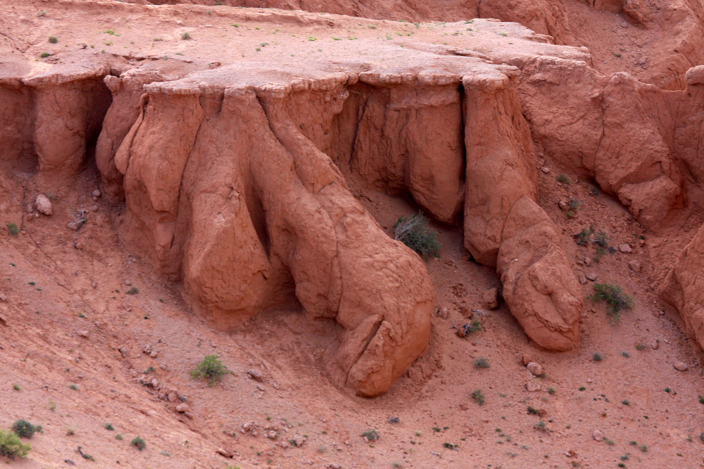 Mongolia: animals or rocks?
