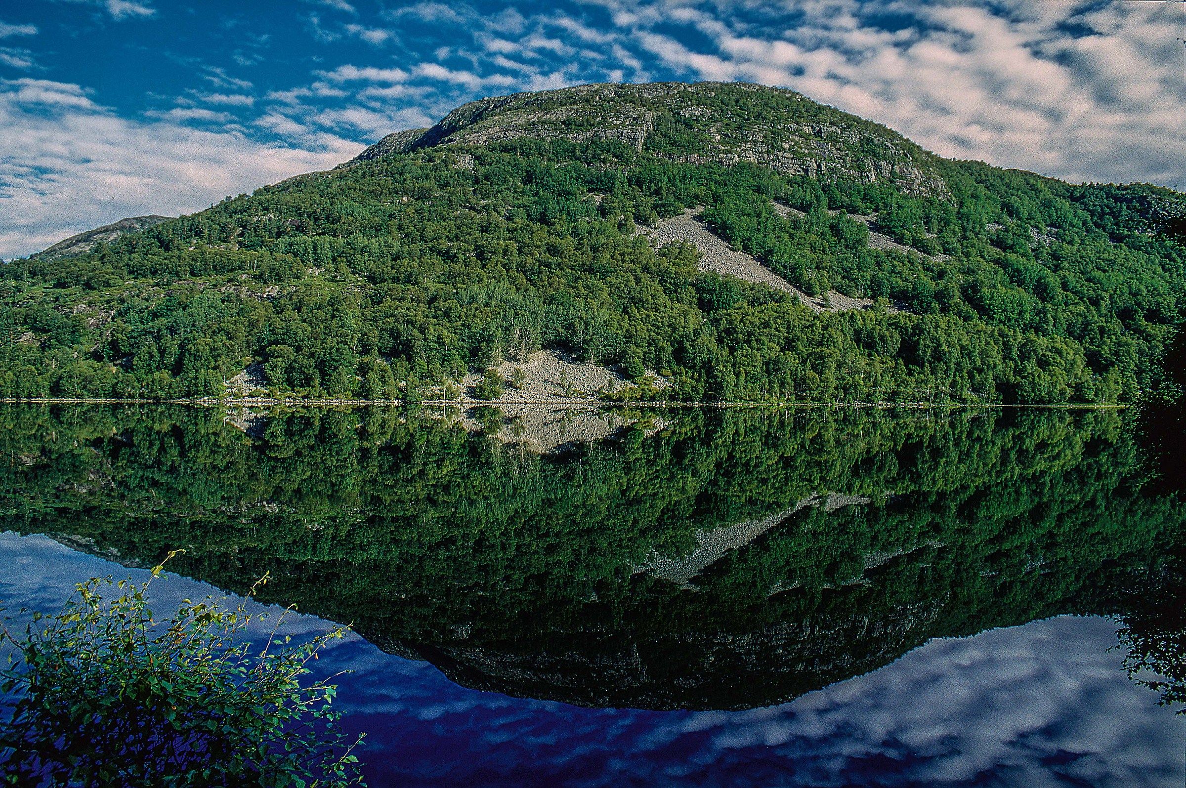 landscape with reflection