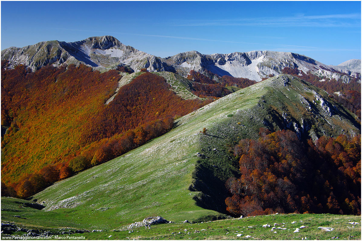 Salendo al rif. Iorio