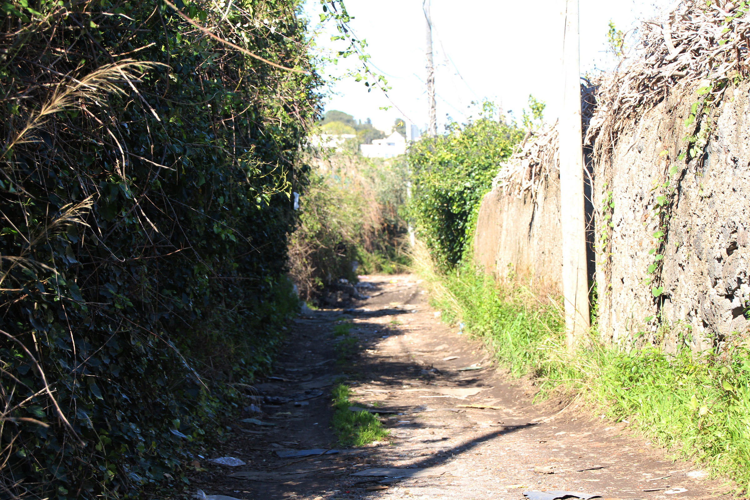 The path of the earth