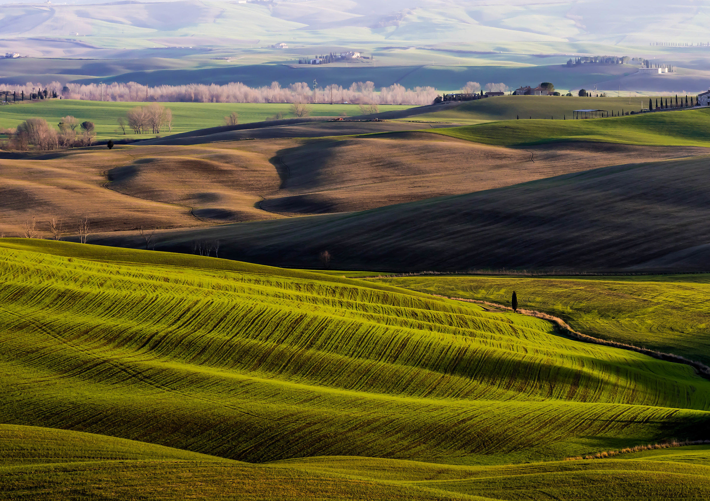 VAL d'orcia 15