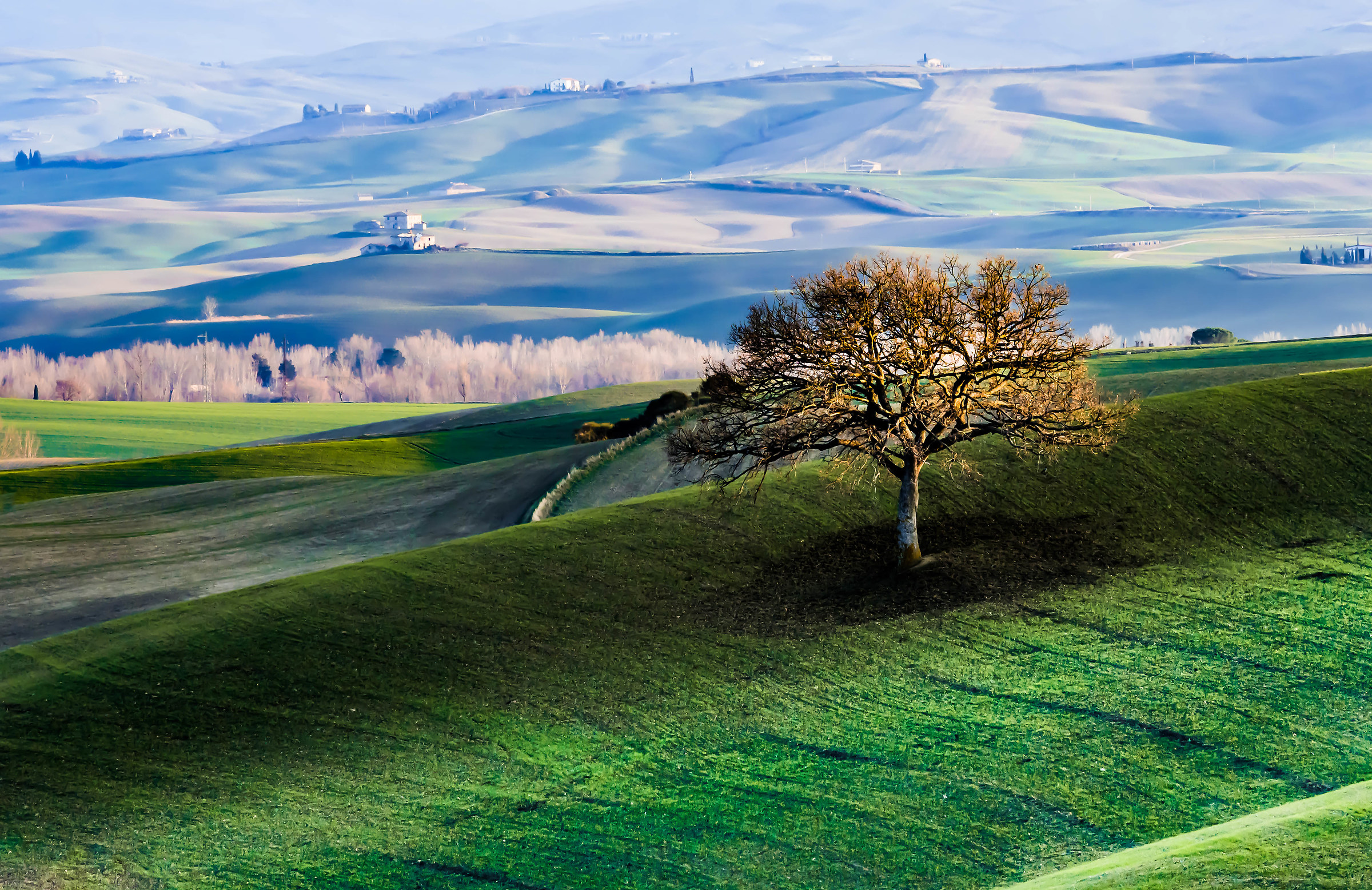 VAL d'orcia 19