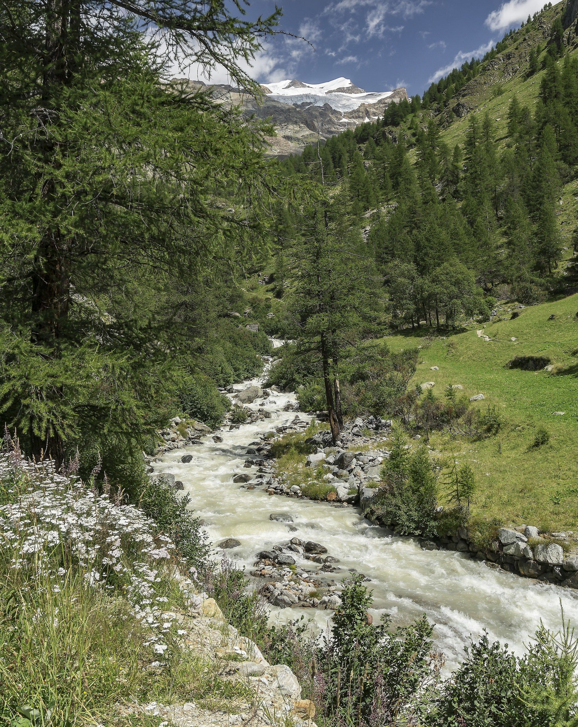 Massiccio del Monte Rosa visto da Staffal (Gressoney) 2
