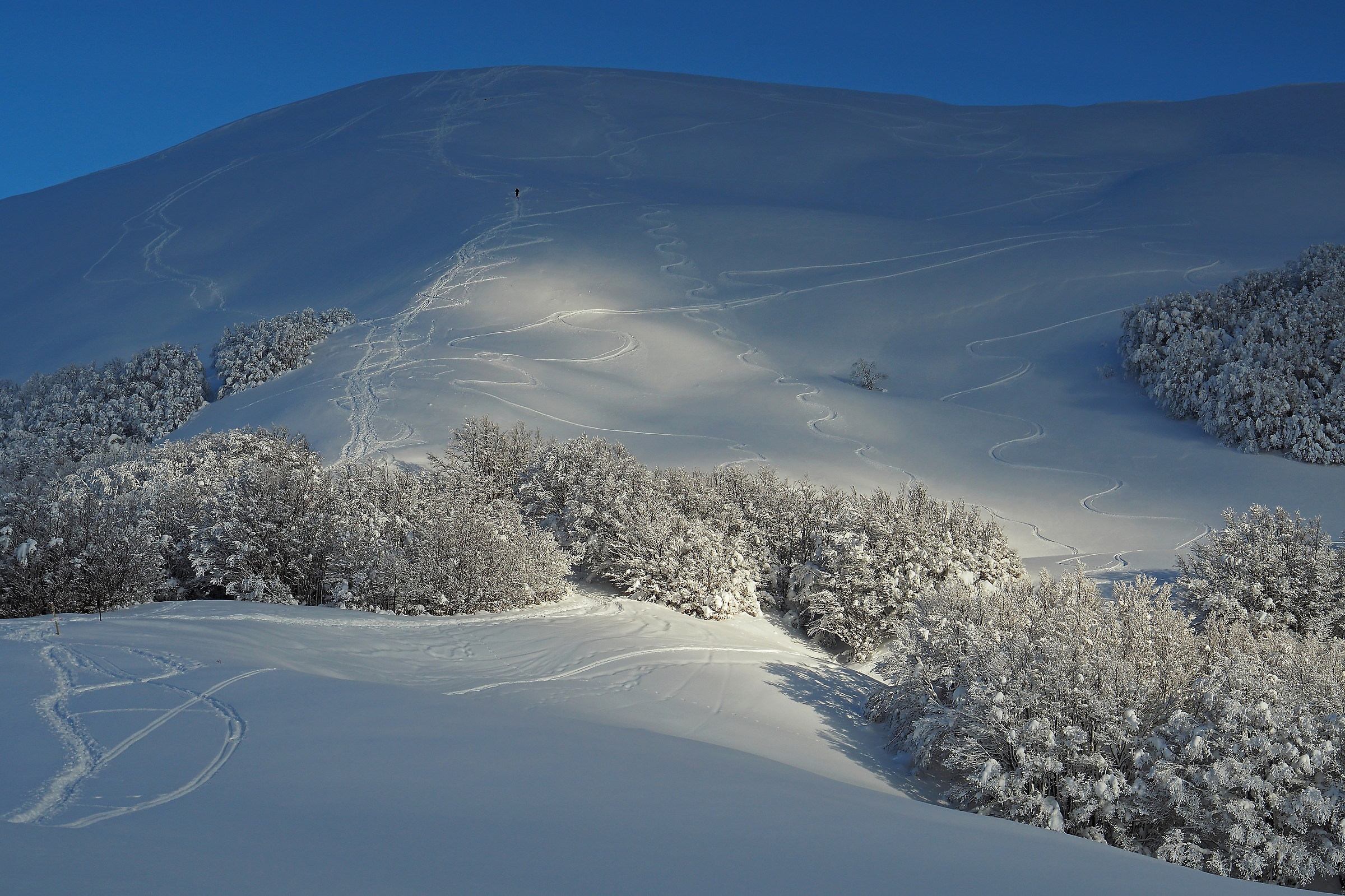 Piccolo piccolo nella grandezza della natura
