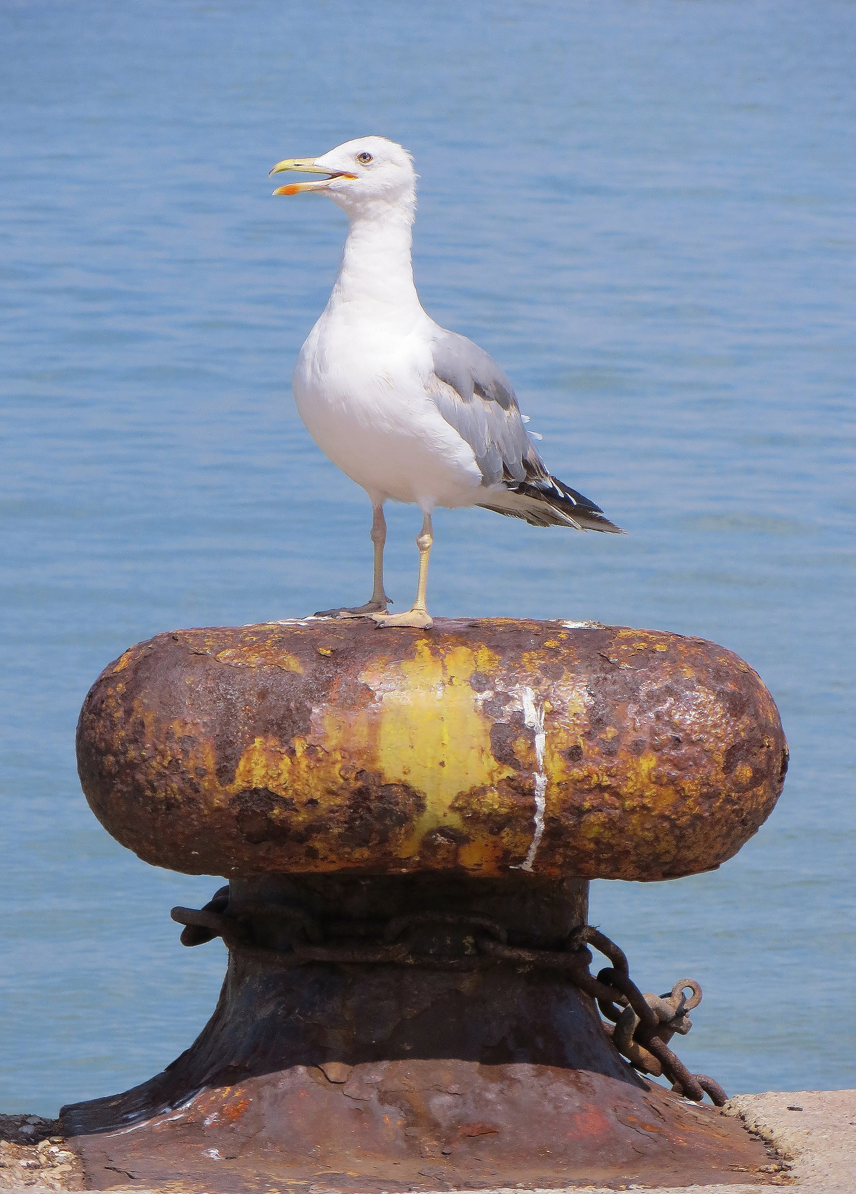 Waiting for boarding ....