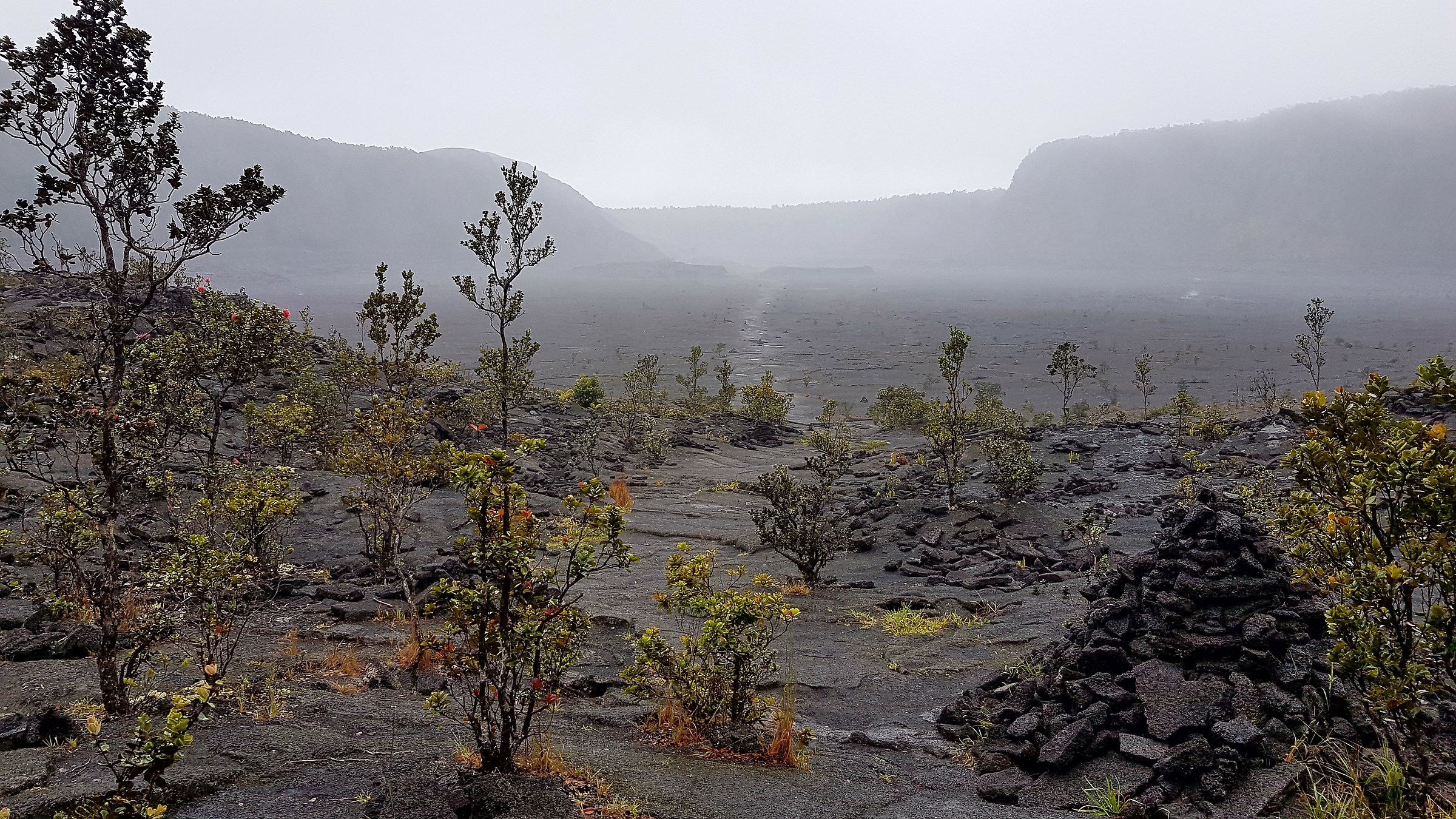Kilauea Iki crater