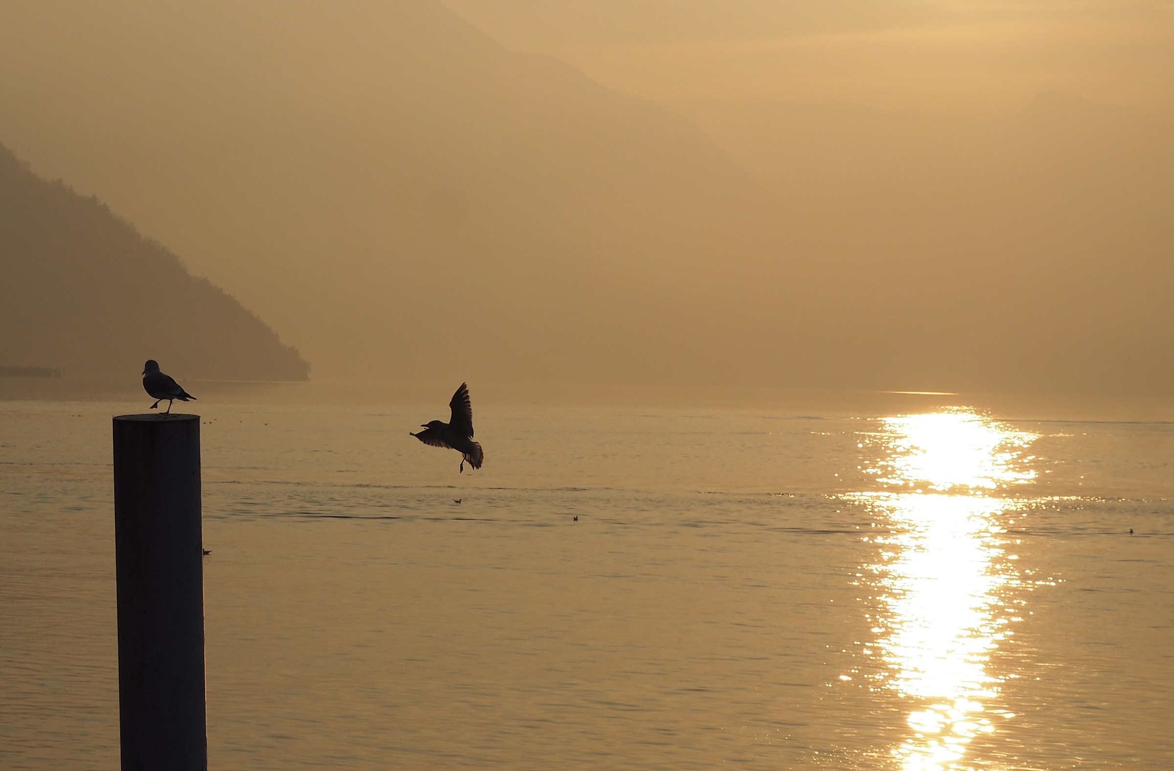 do not leave me alone