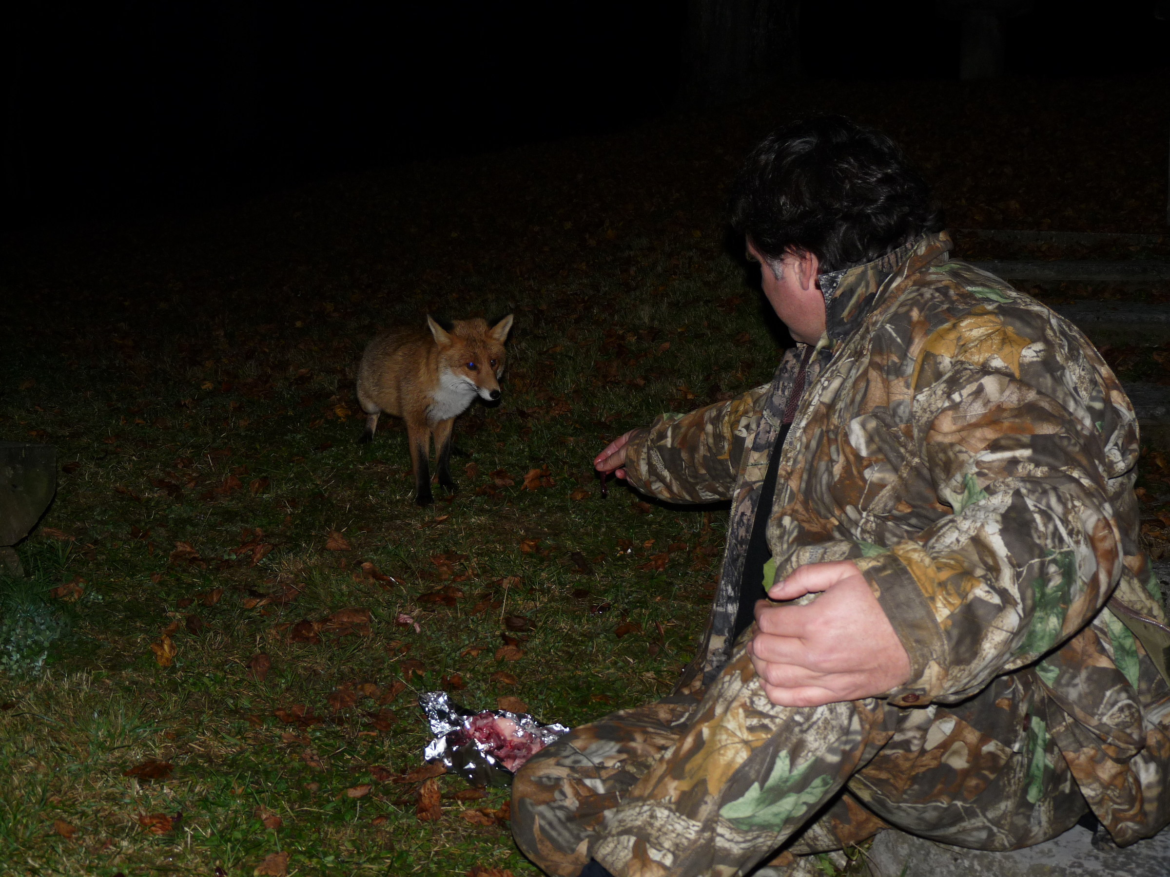 Aspetta il bocconcino