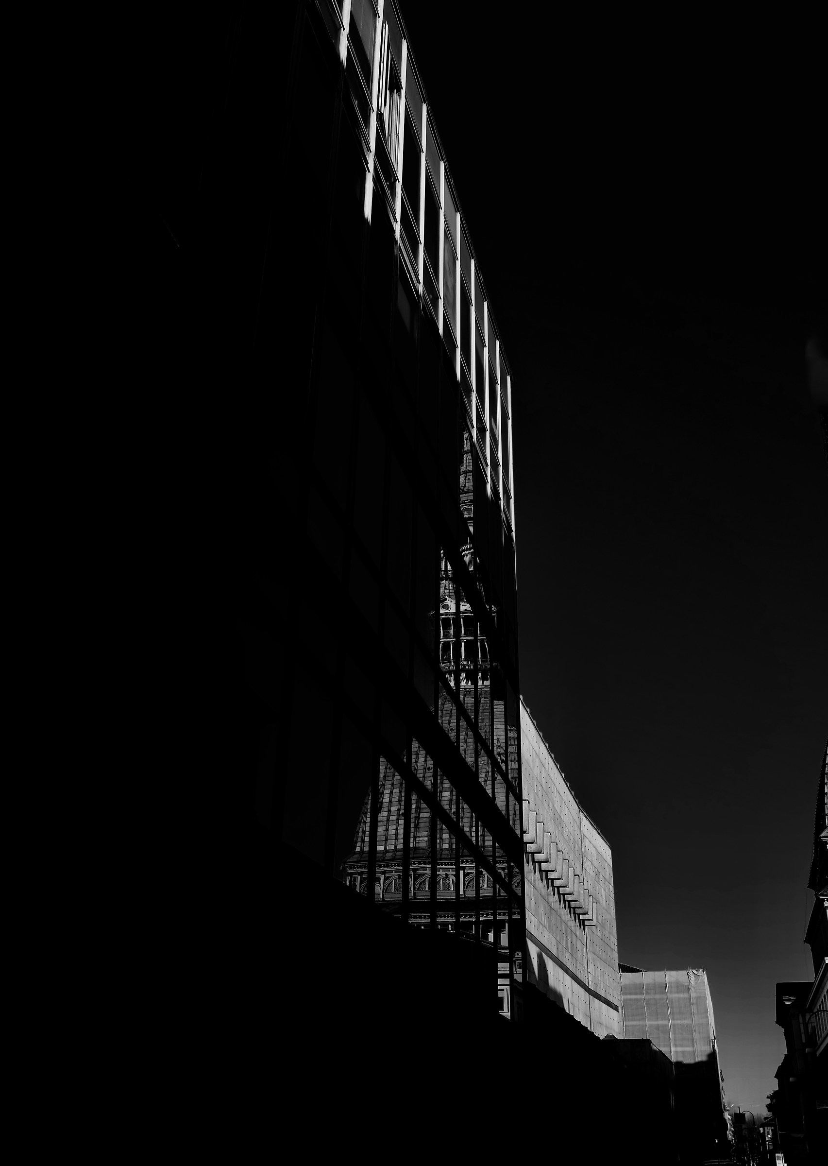 An unprecedented Mole