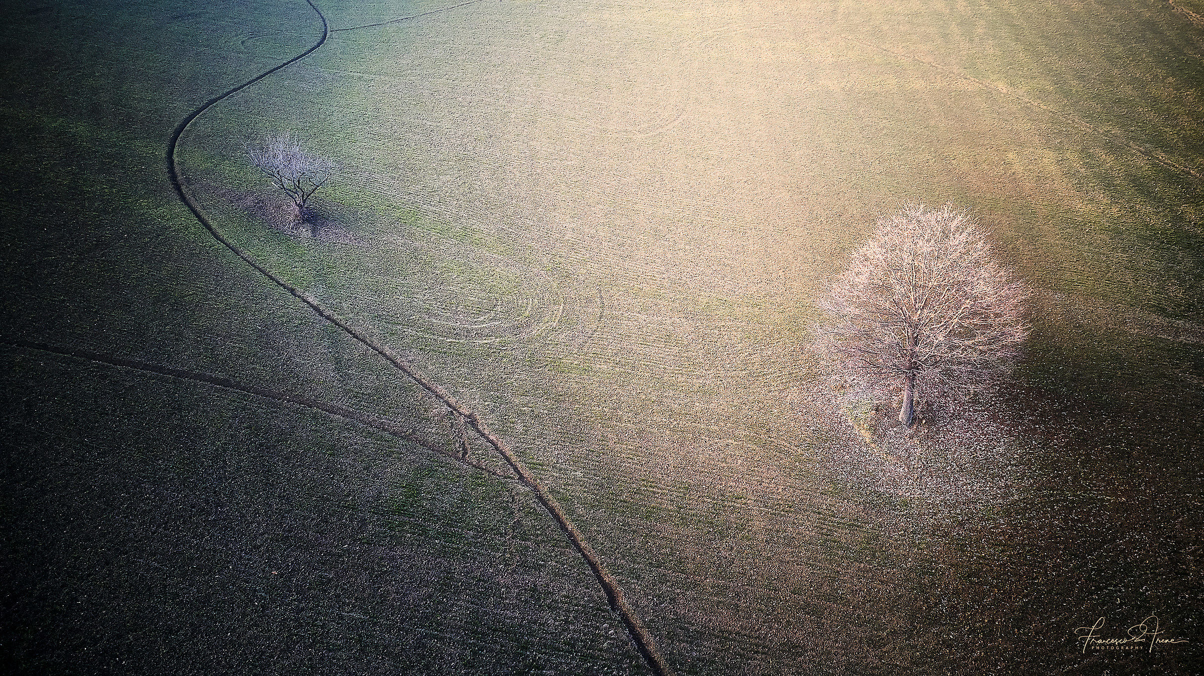 Il vecchio ed il giovane