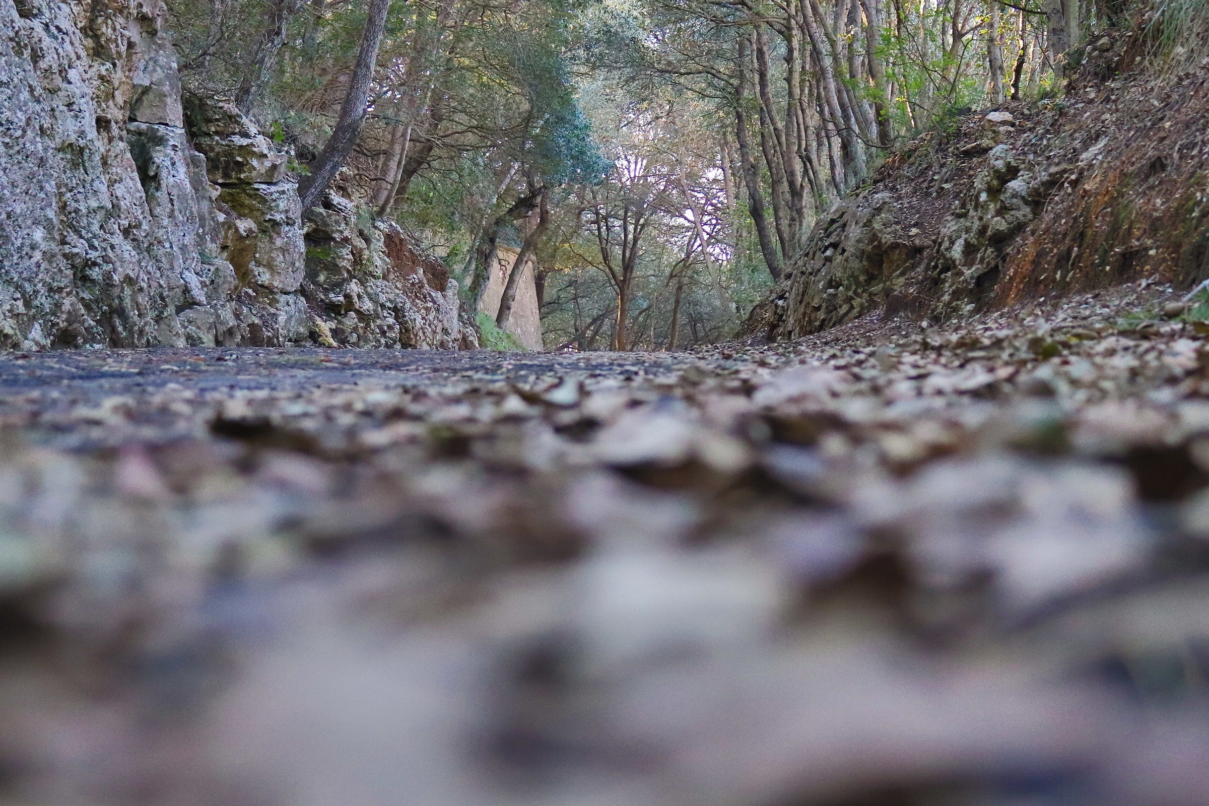 Walk to Monte Orlando