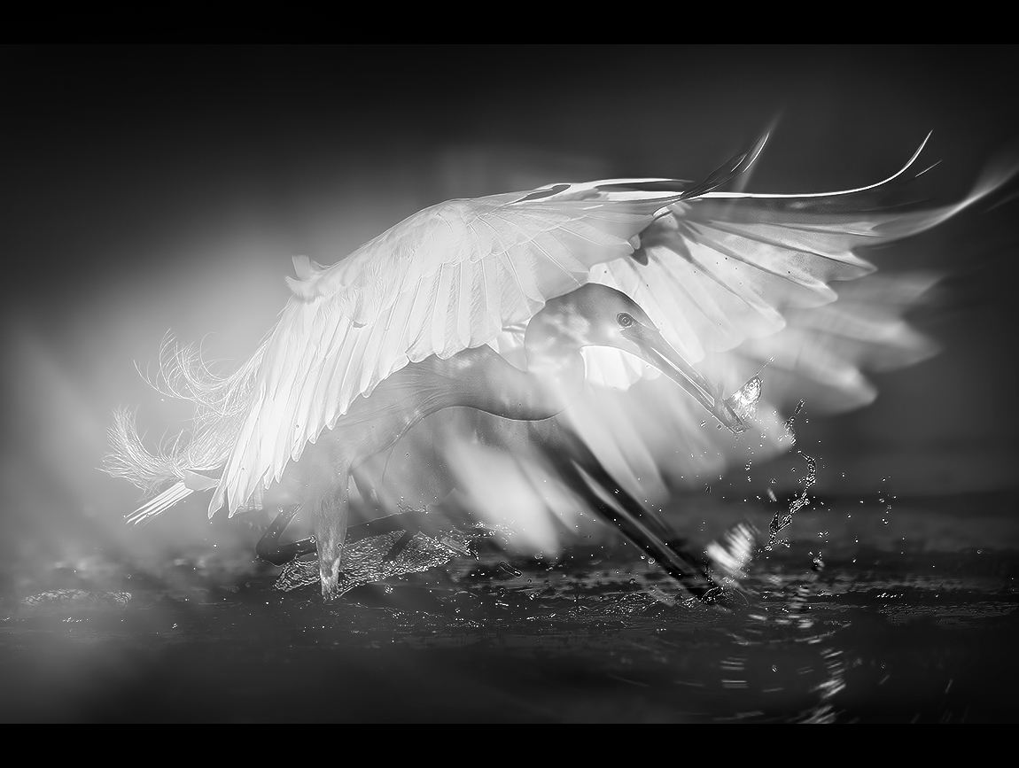 I Put a Spell on You...