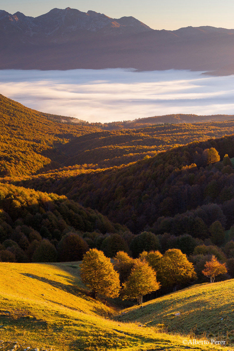 Cansiglio in autunno