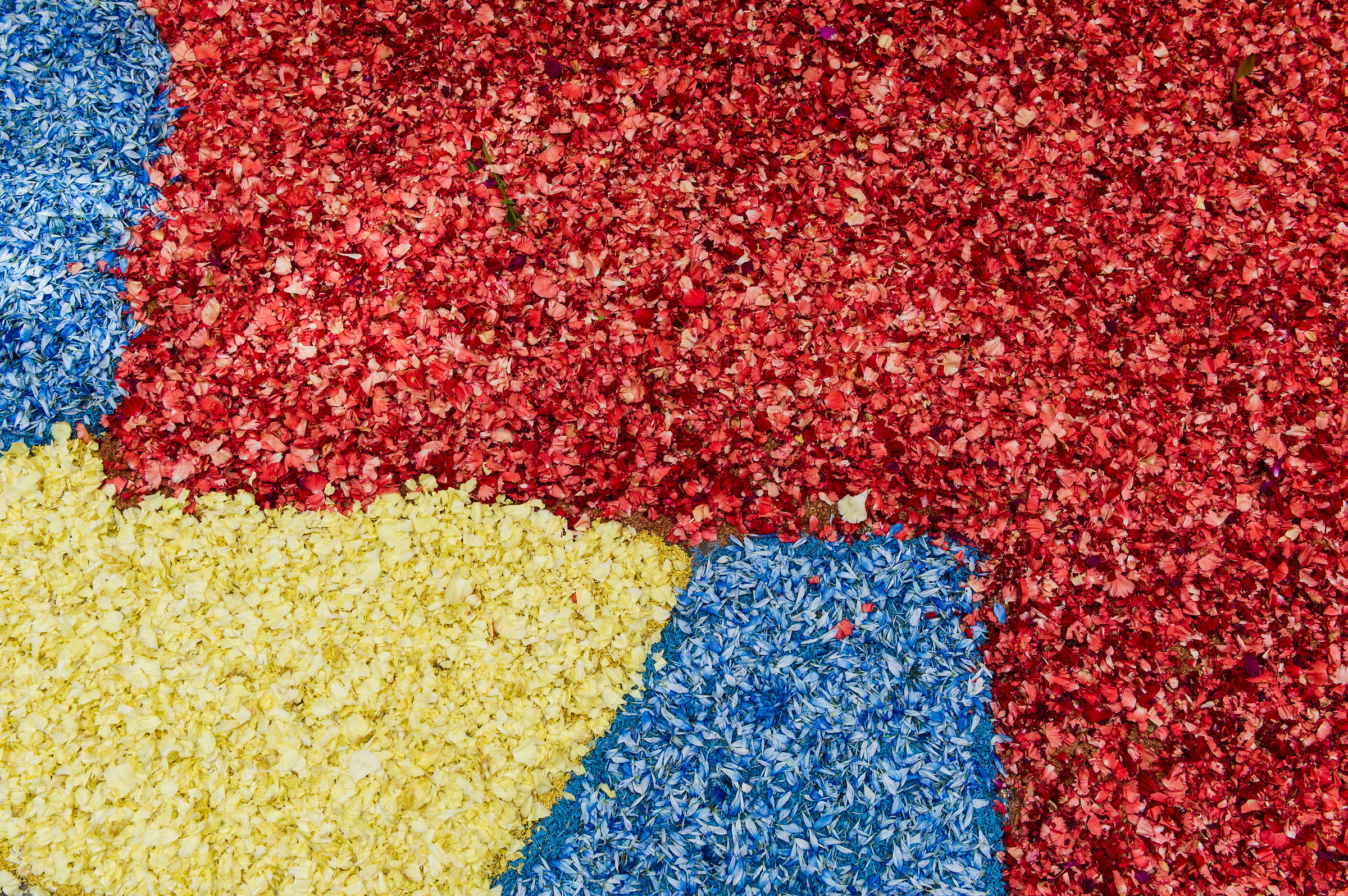 Infiorata at Monte Fiore