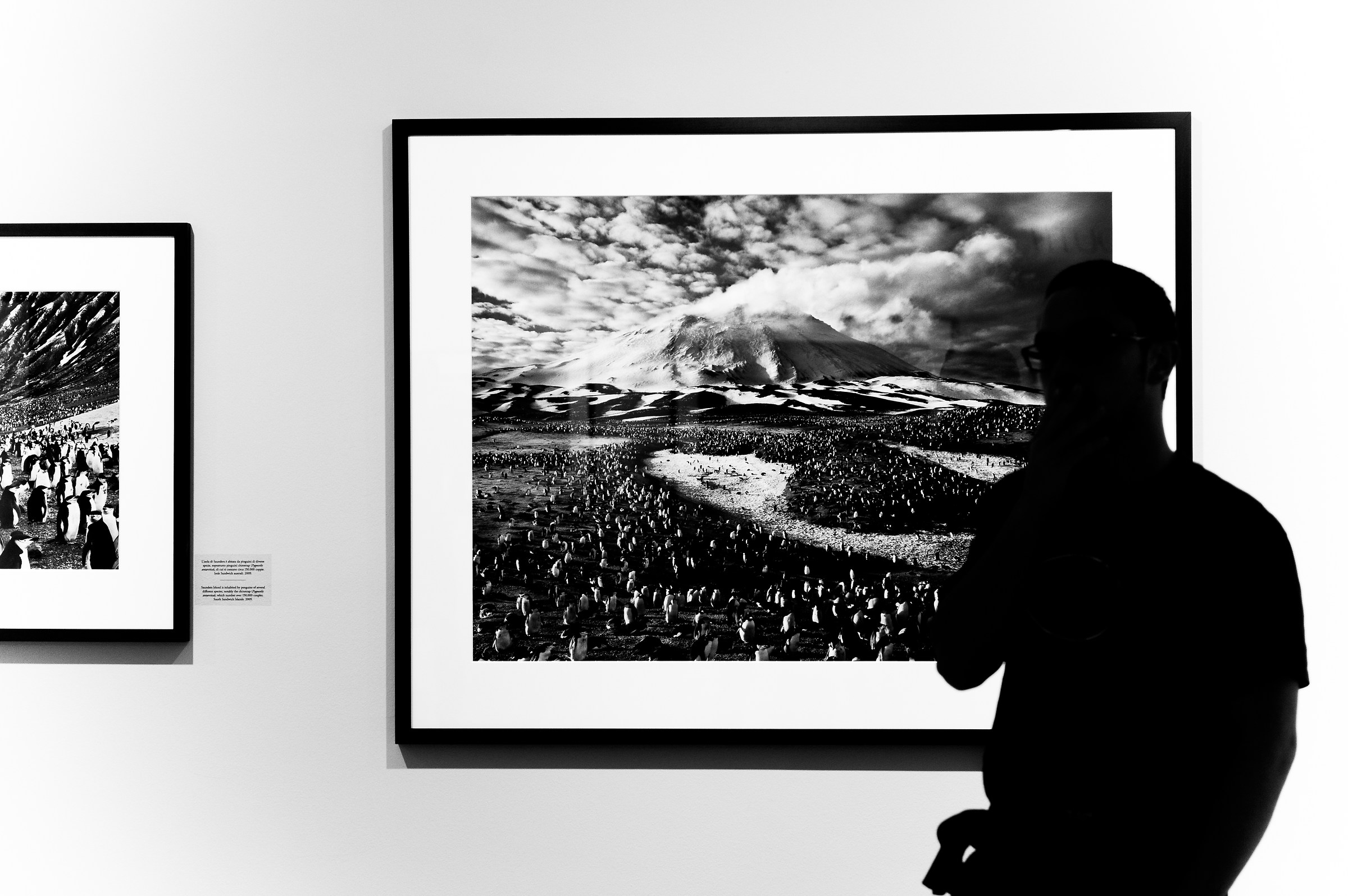Sebastiao Salgado- Ara Pacis, 2013
