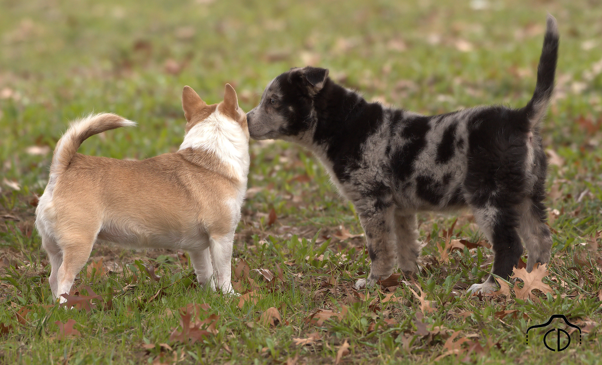 Lina and her new friend