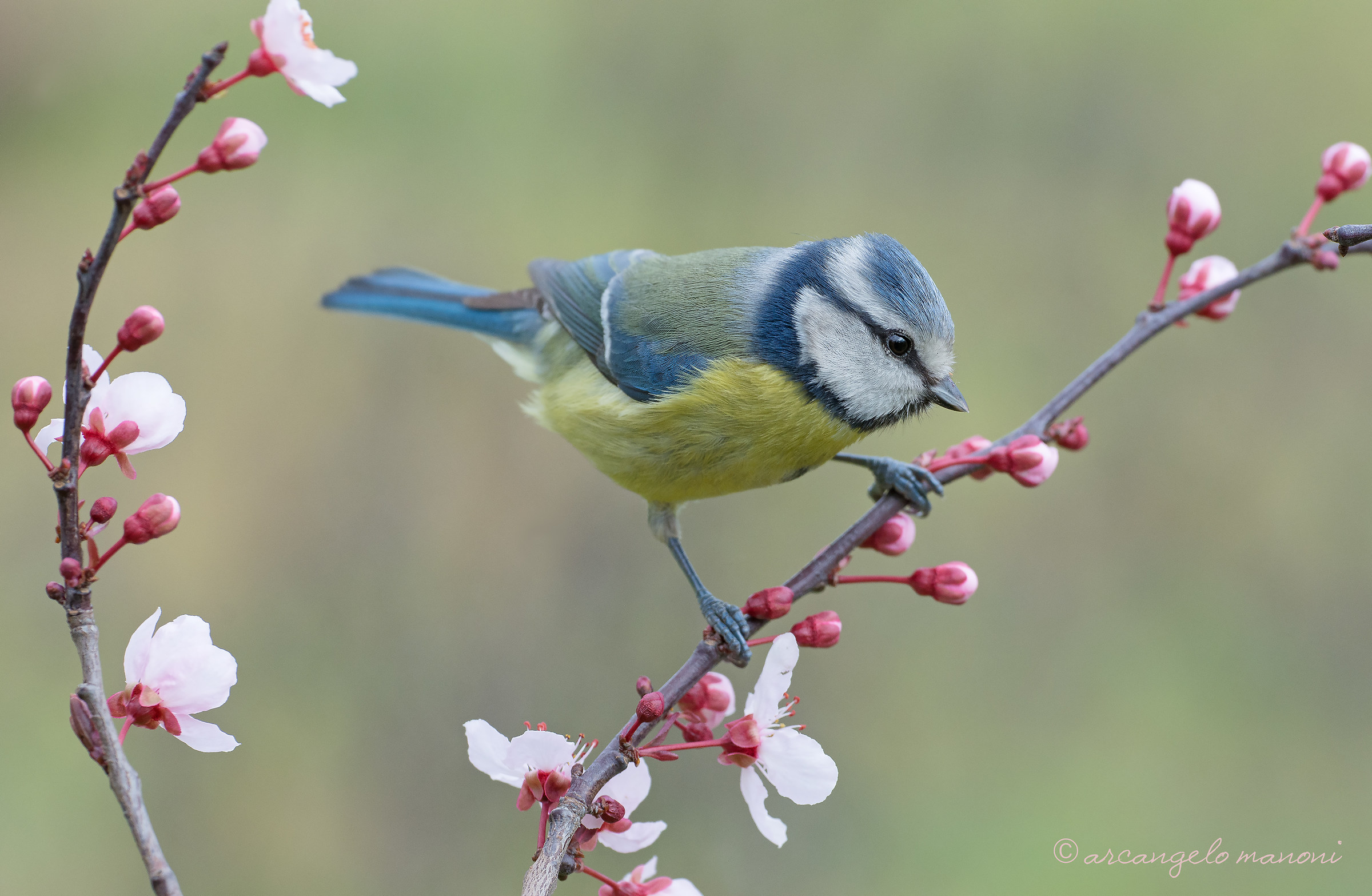Feel like tenderness