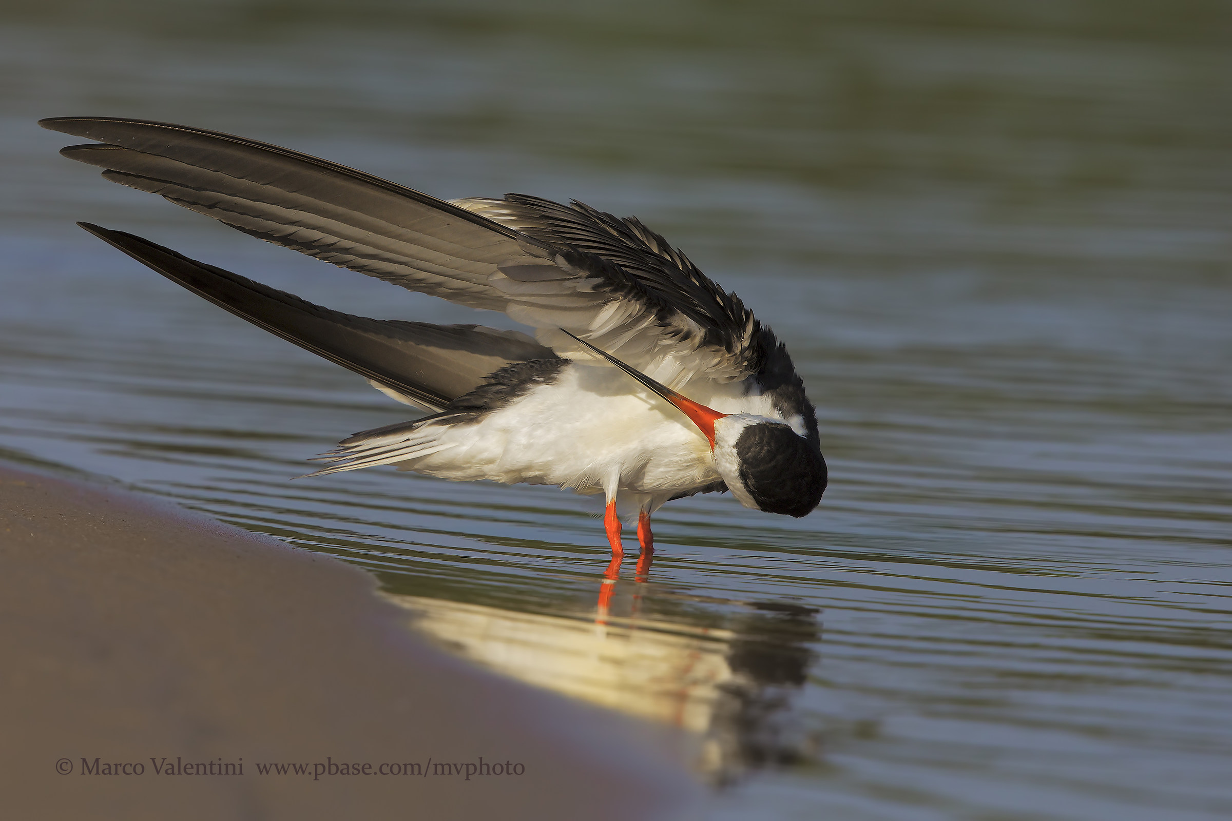 Diagonal to the mirror