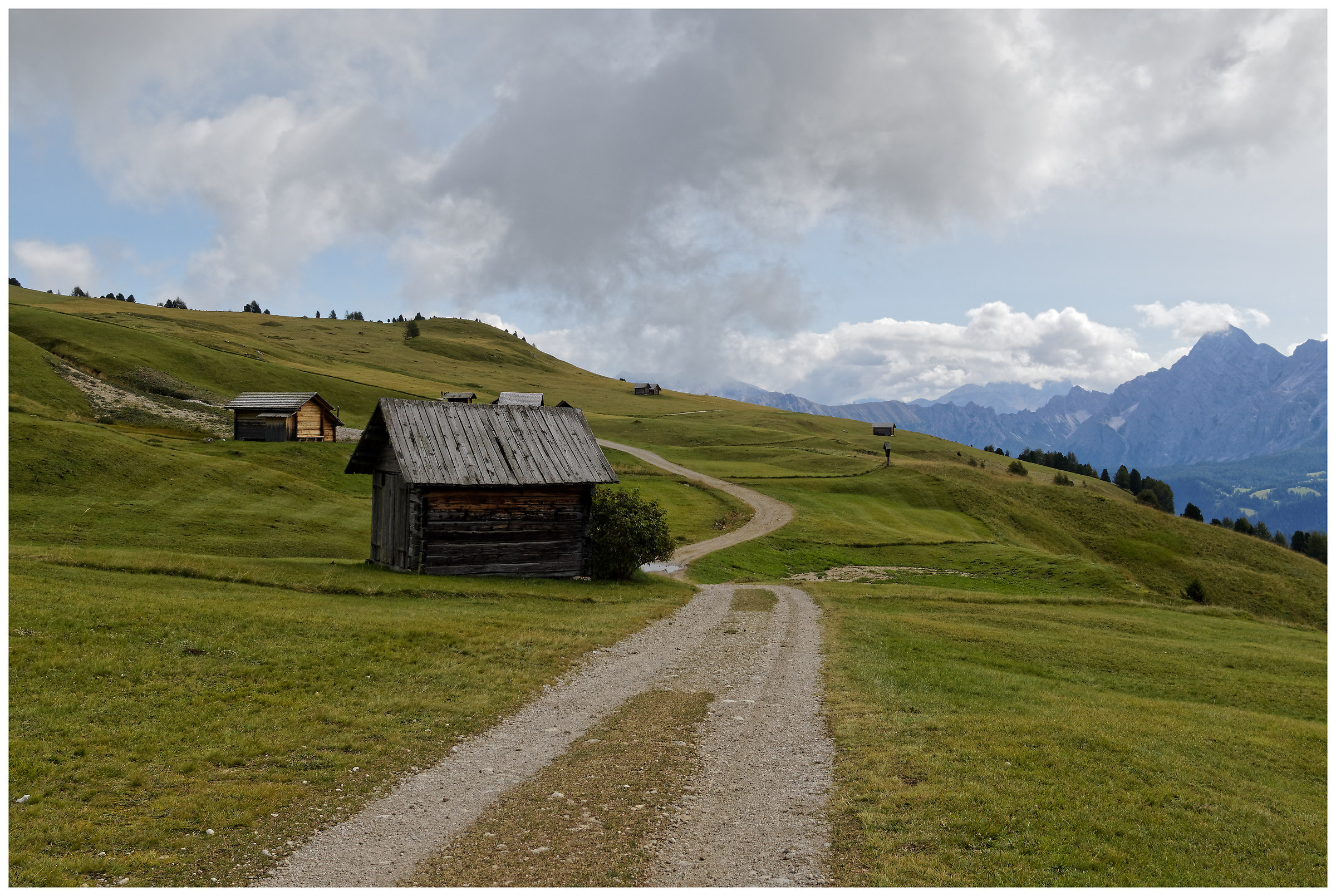 Alpeggi ai piedi del Sas Putia