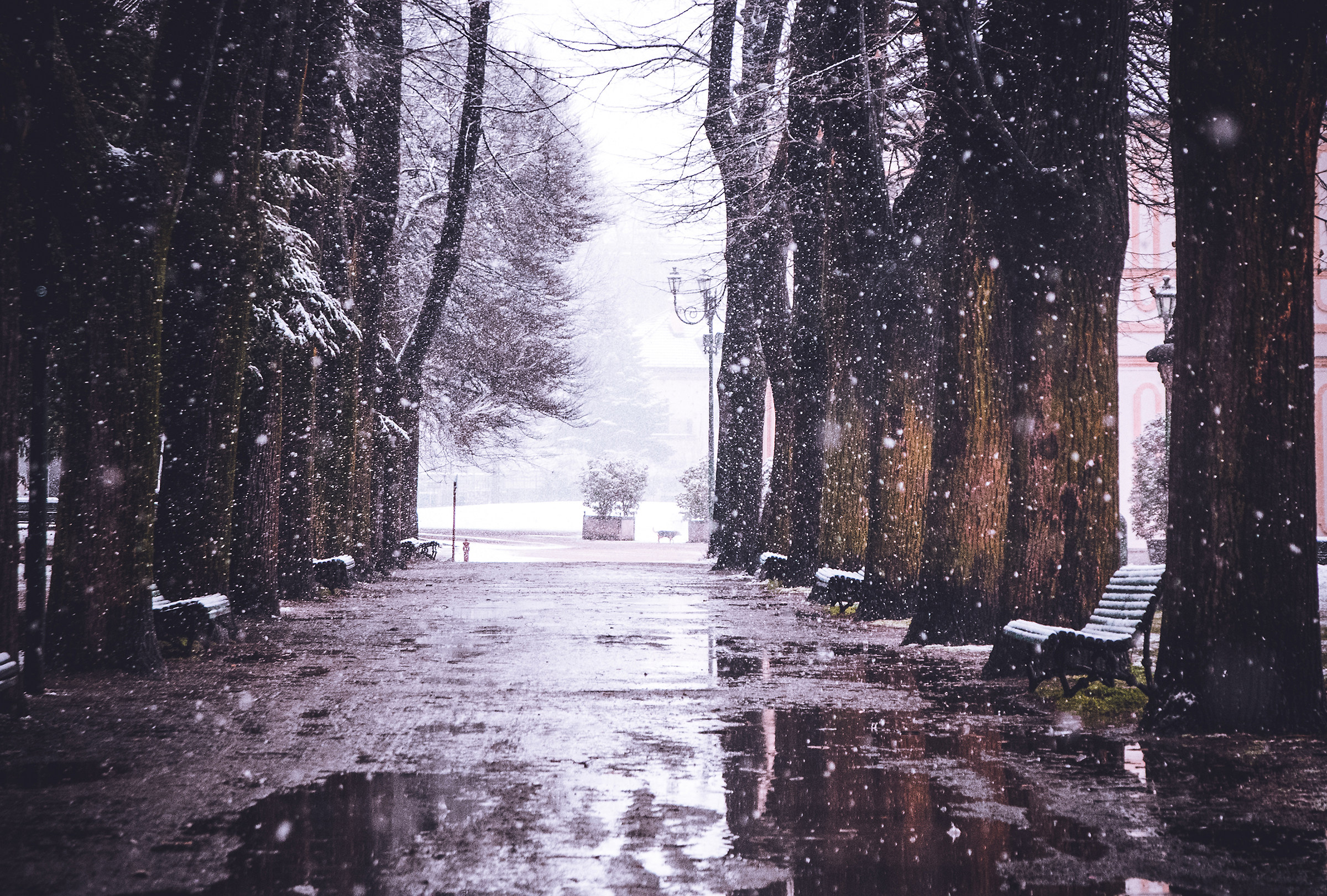 Park of the Treasurer