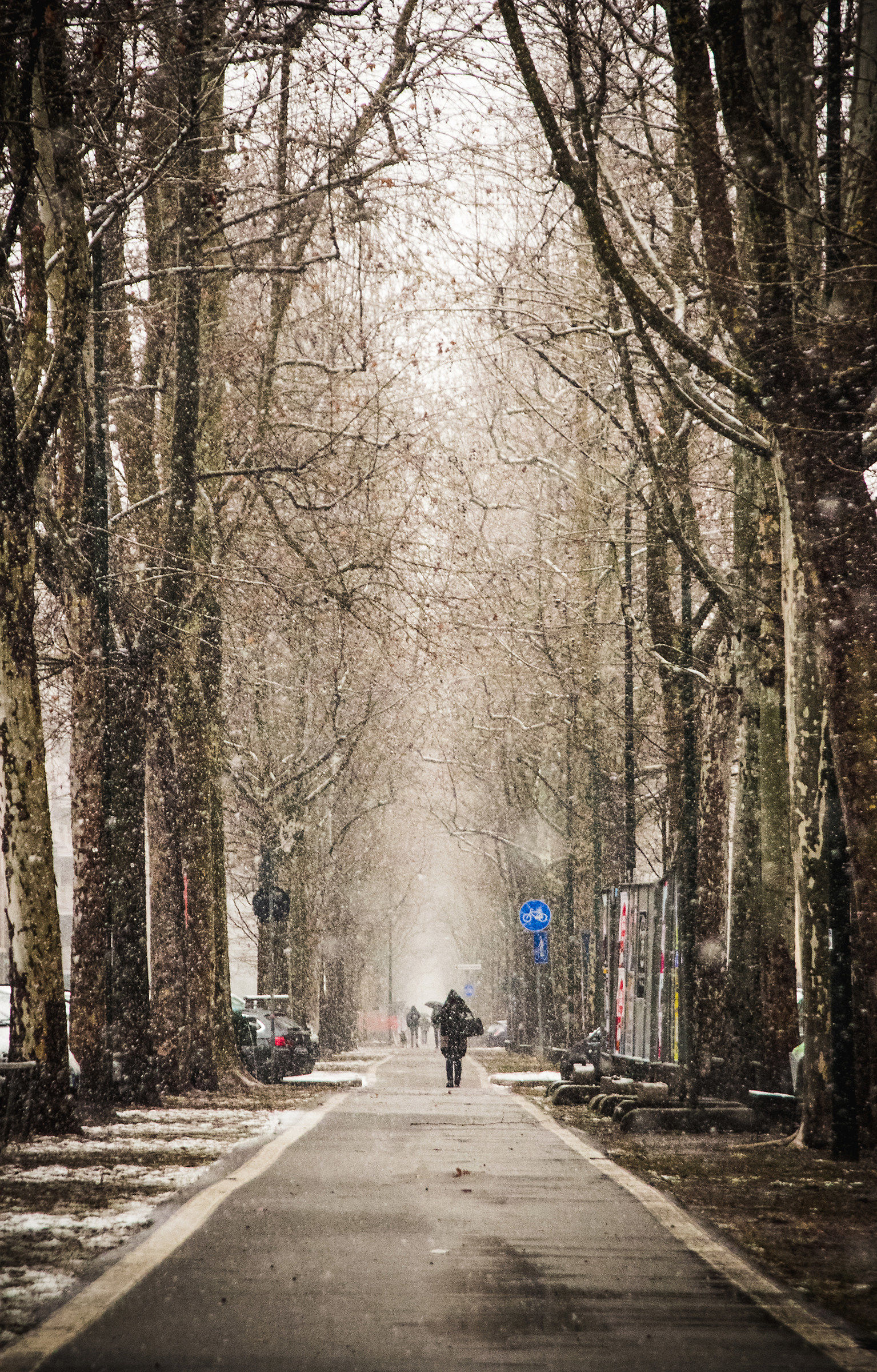 Under the snowfall 2.0