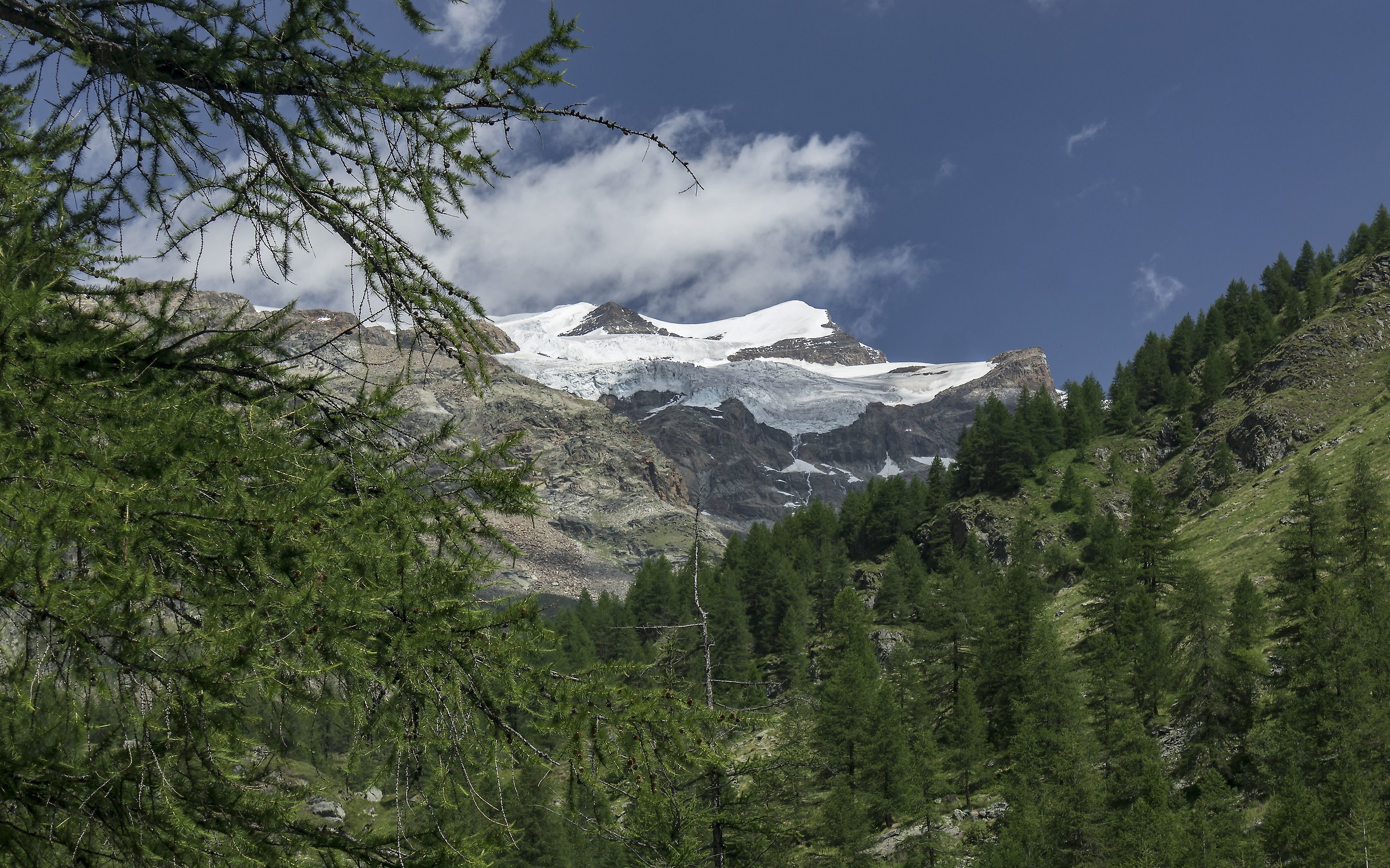 Monte Rosa massif seen from Staffal (Gressoney) 3