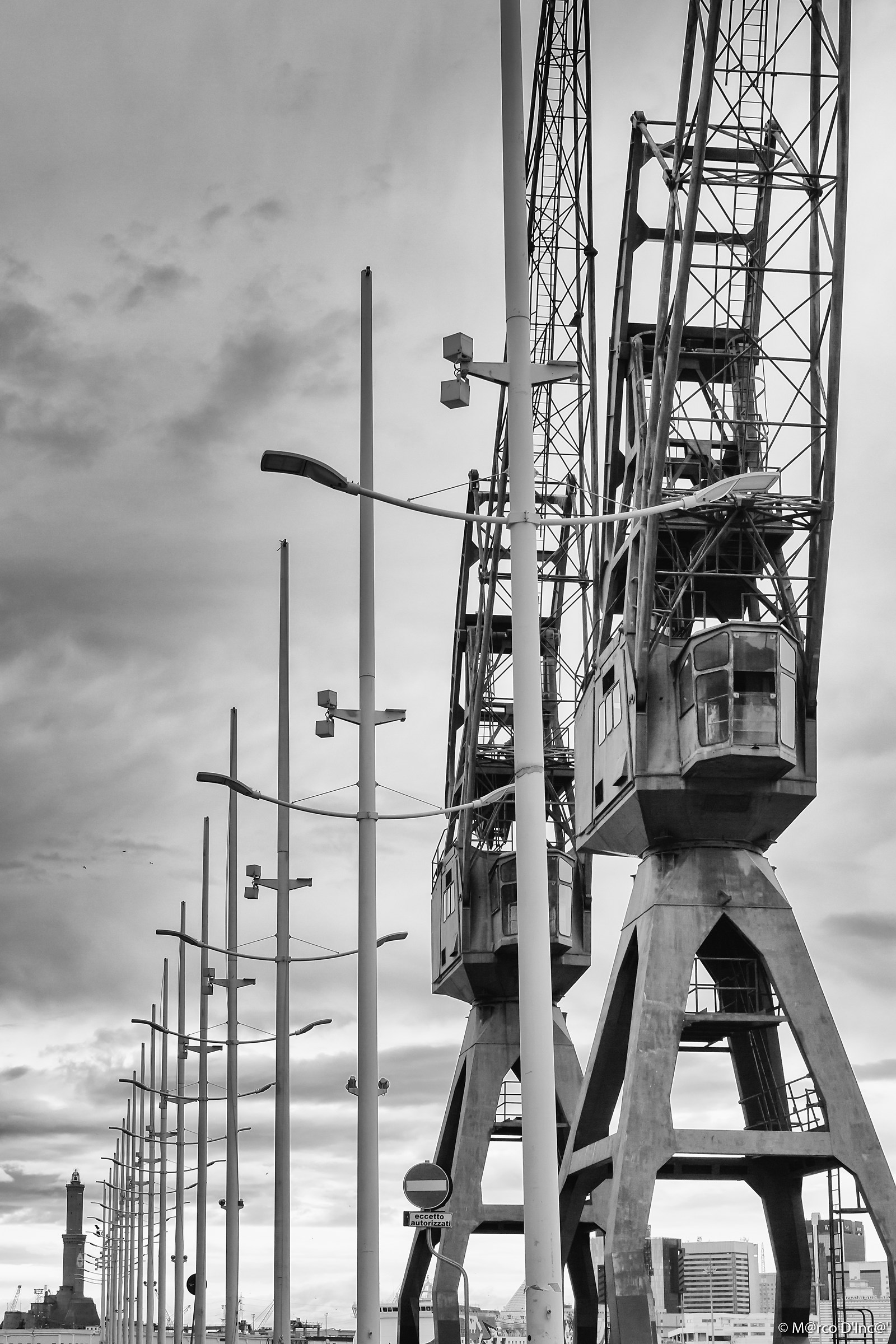 Crane in perspective 2