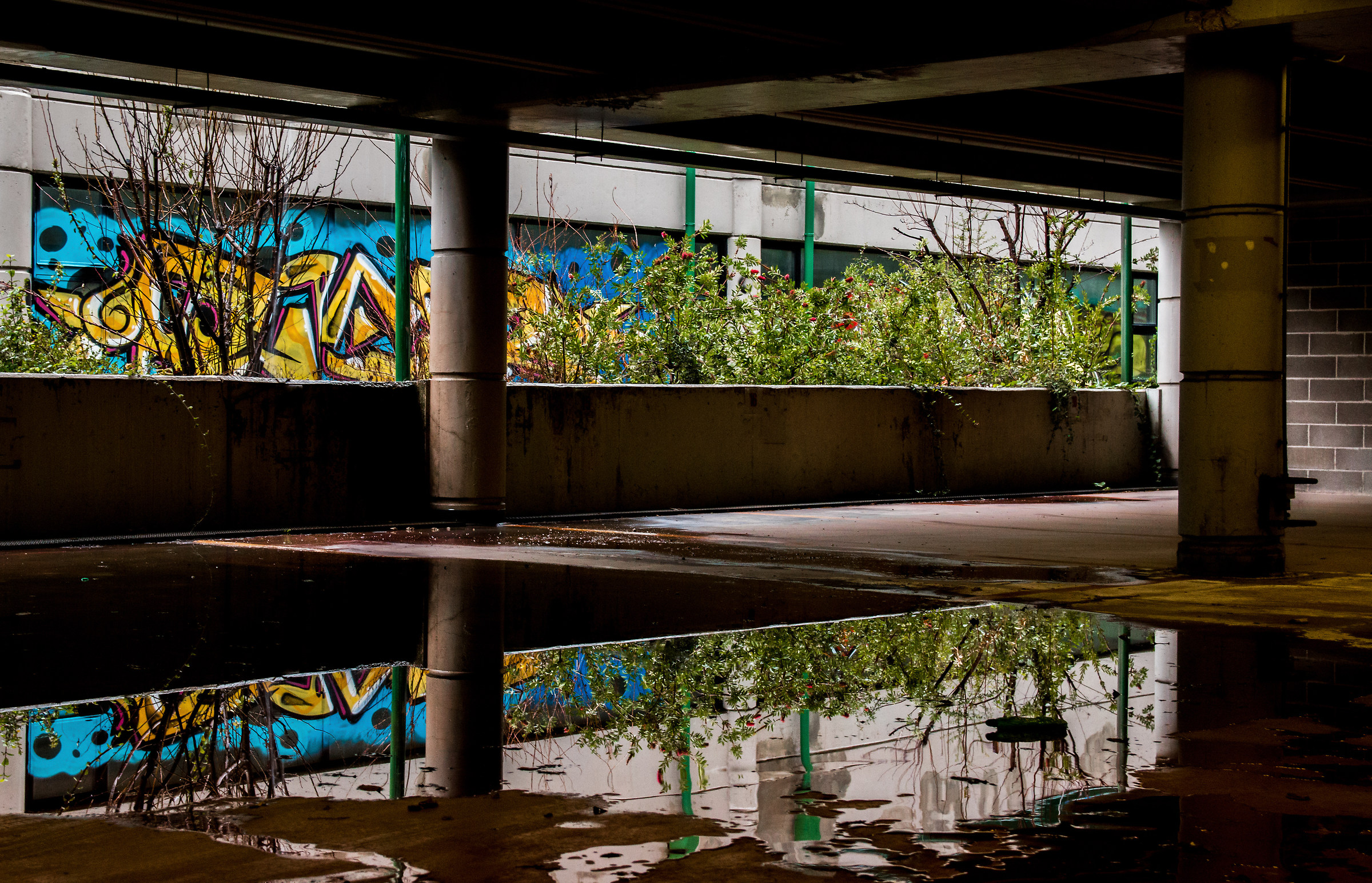 Reflection of nature