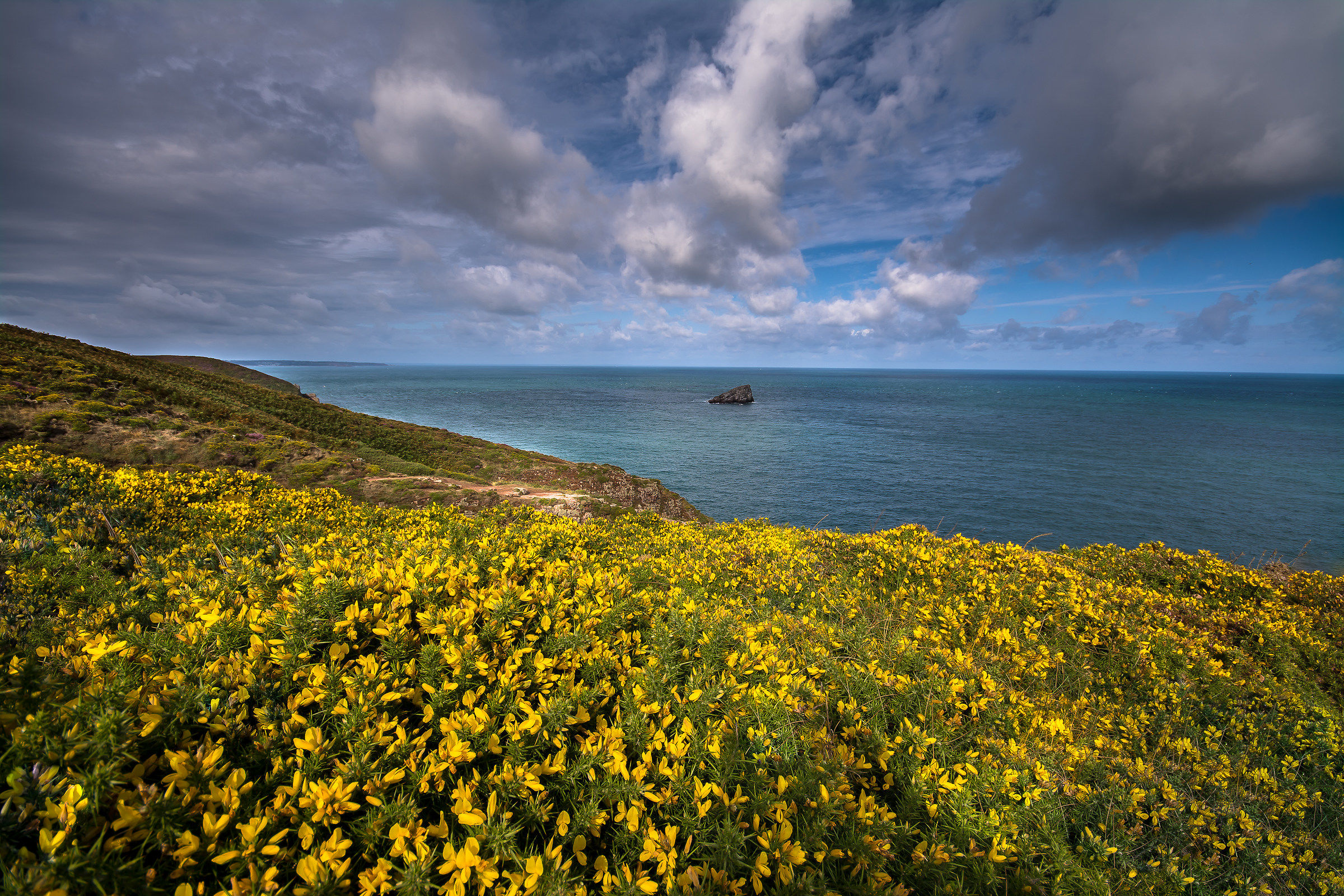 dominante gialla...............