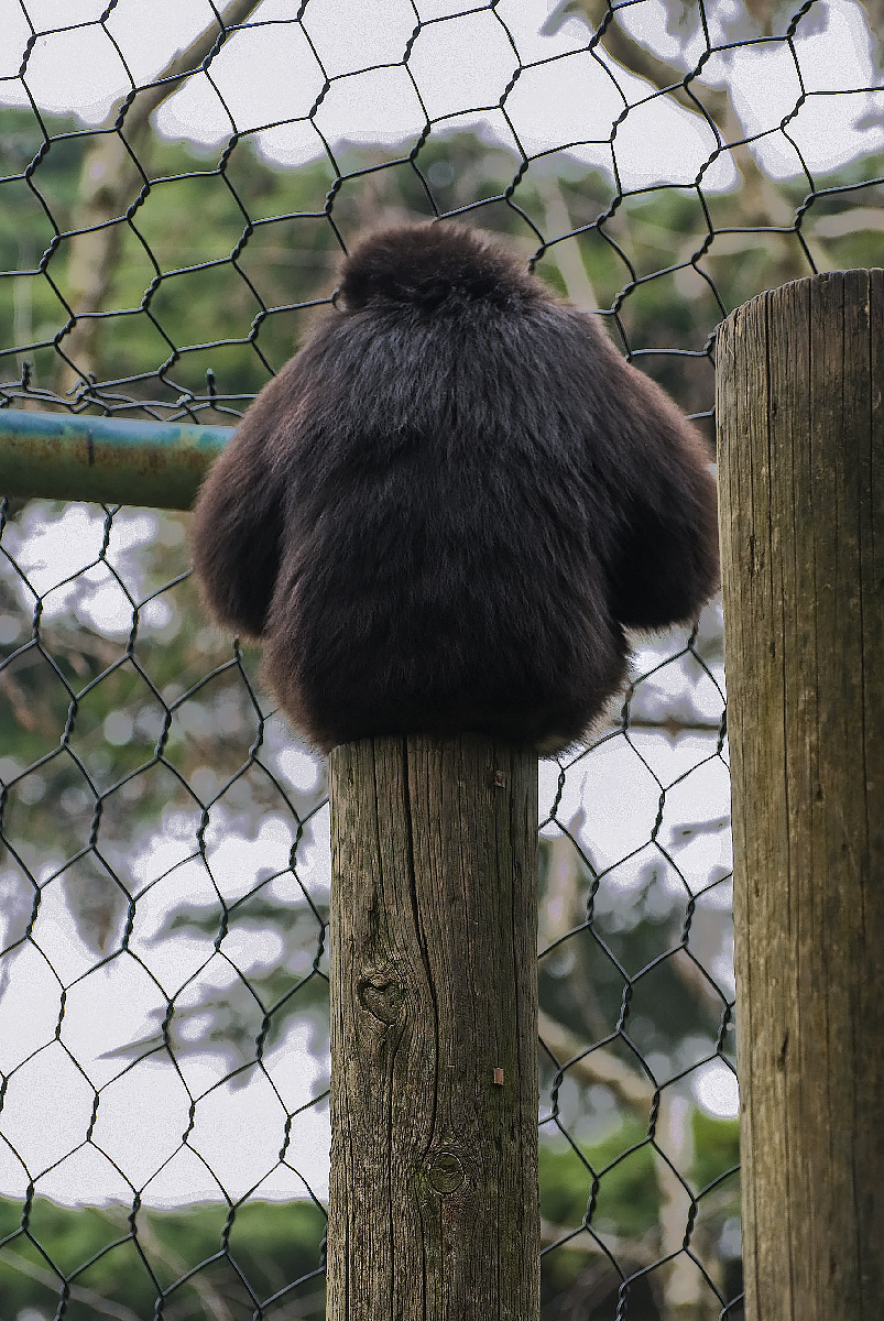 Sognando la libertà.