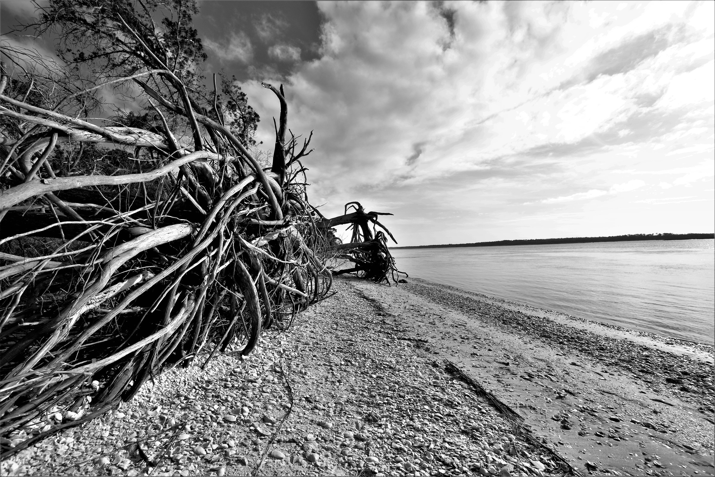 intercostal guana river Flrida
