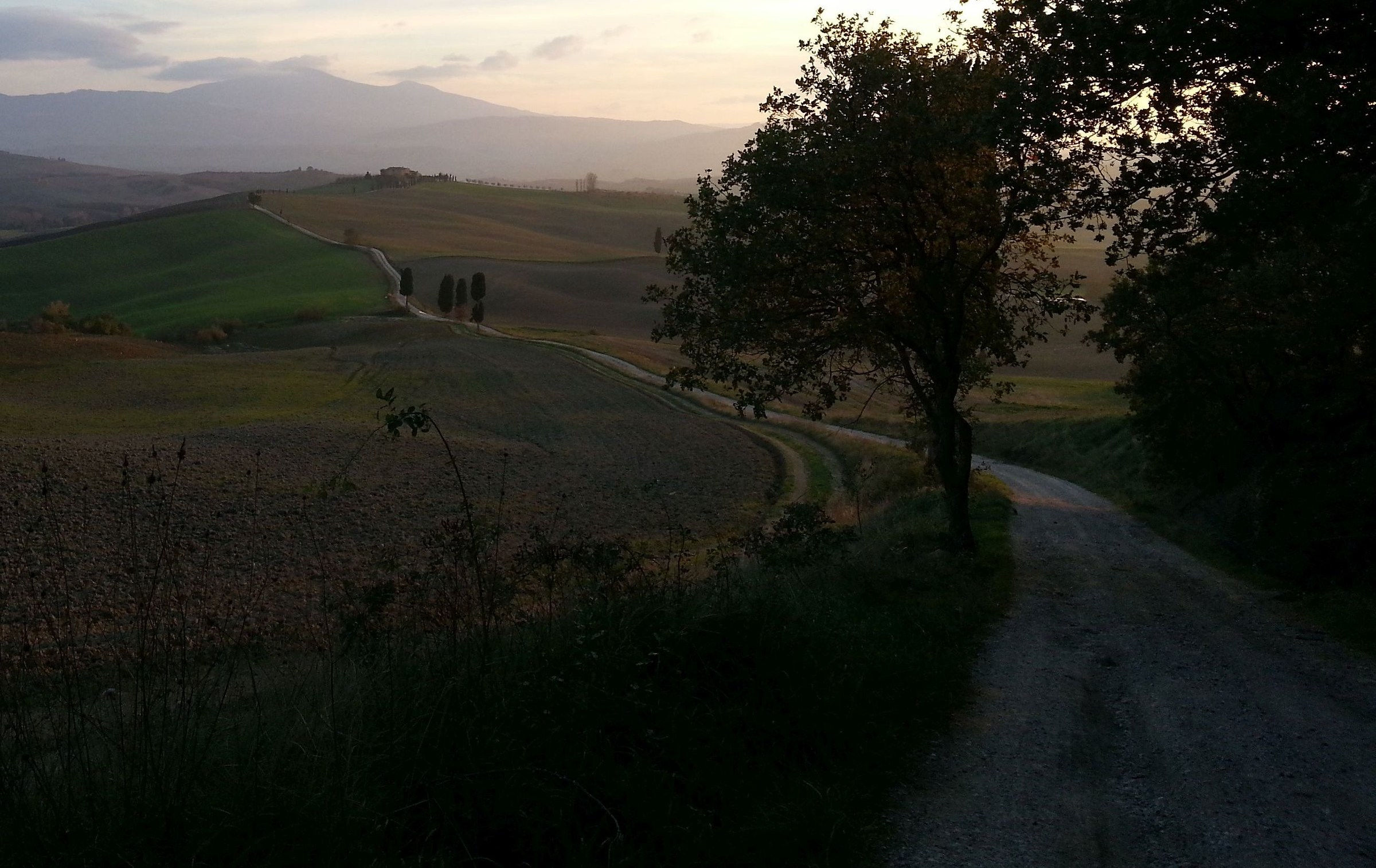 On the tracks of the gladiator