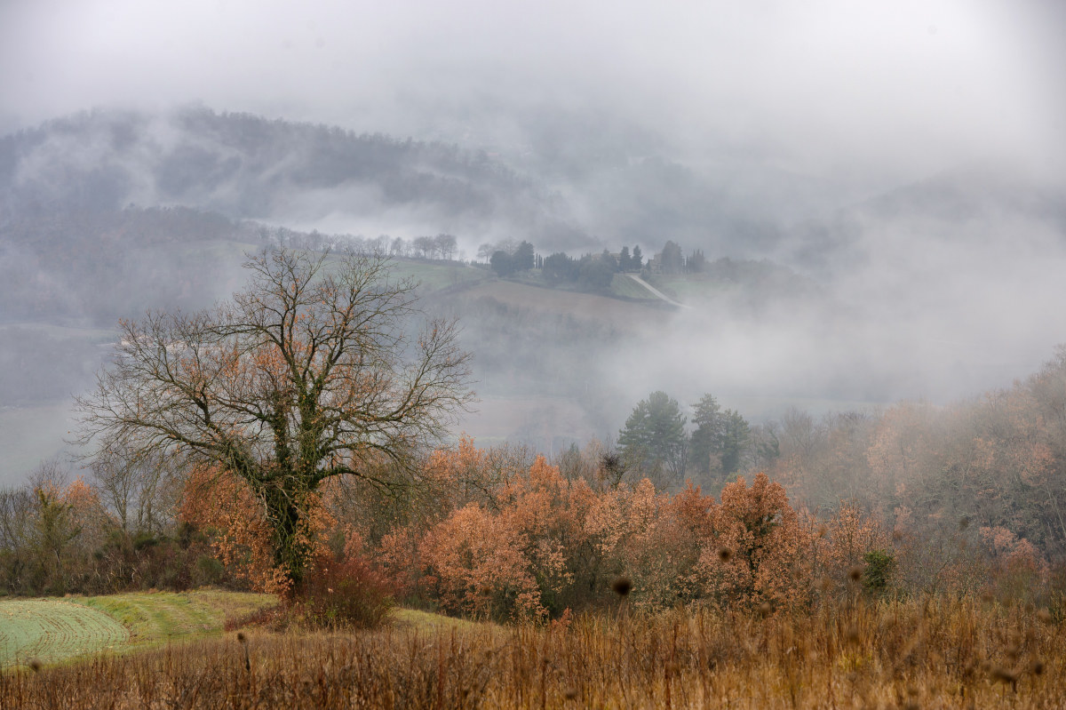 Mists in Anghiari