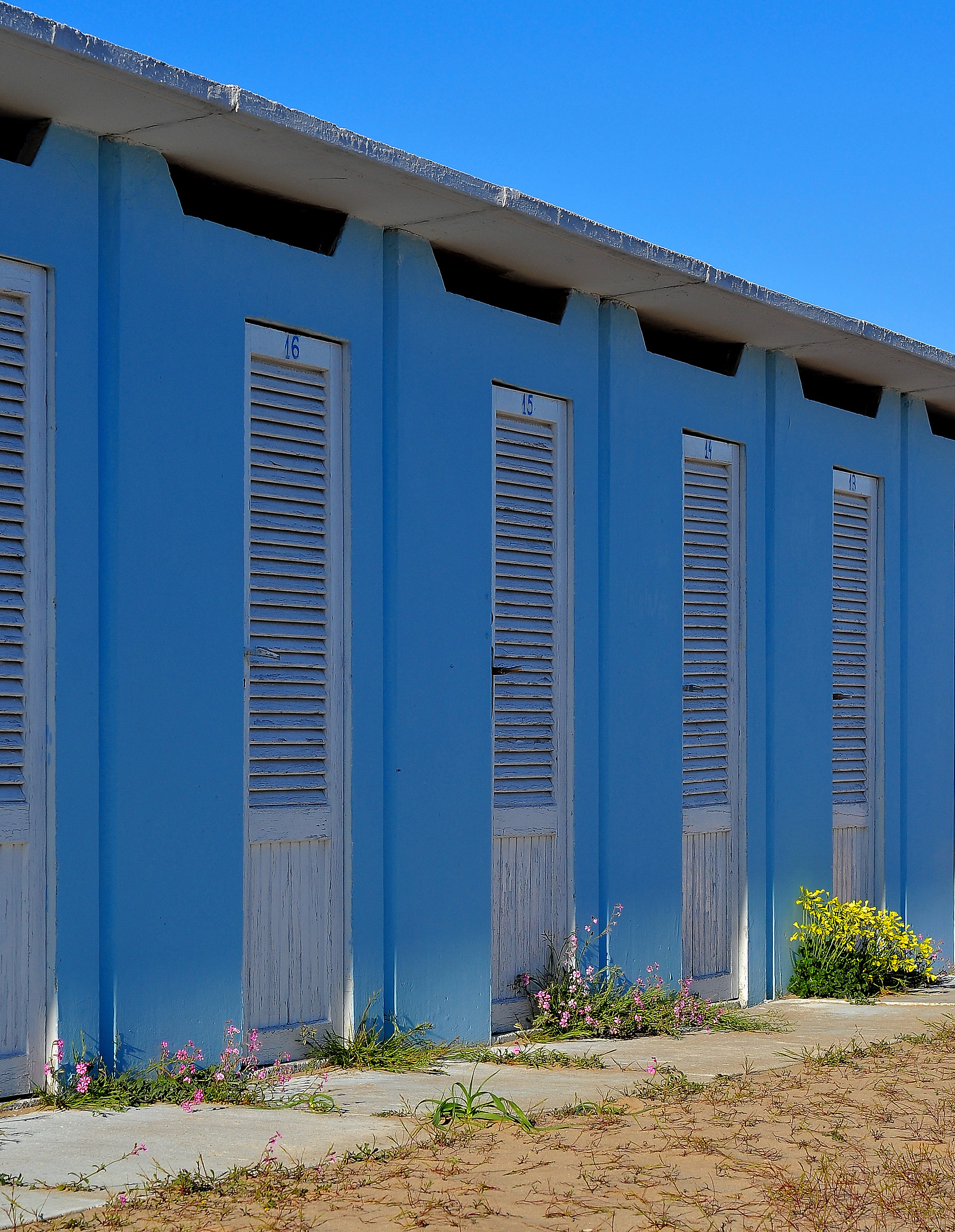 Timidi Accenni di Primavera