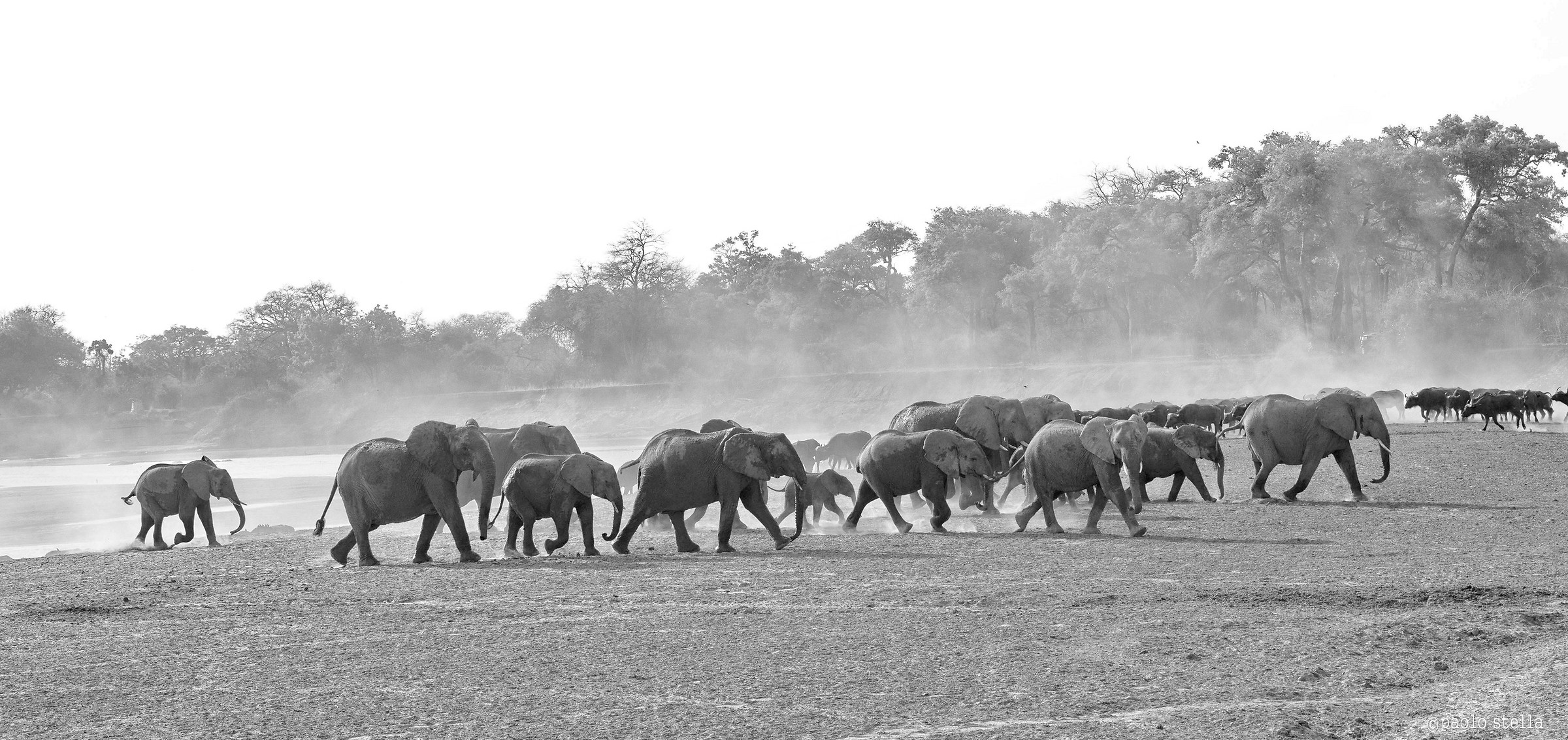 incrocio sul Luangwa River