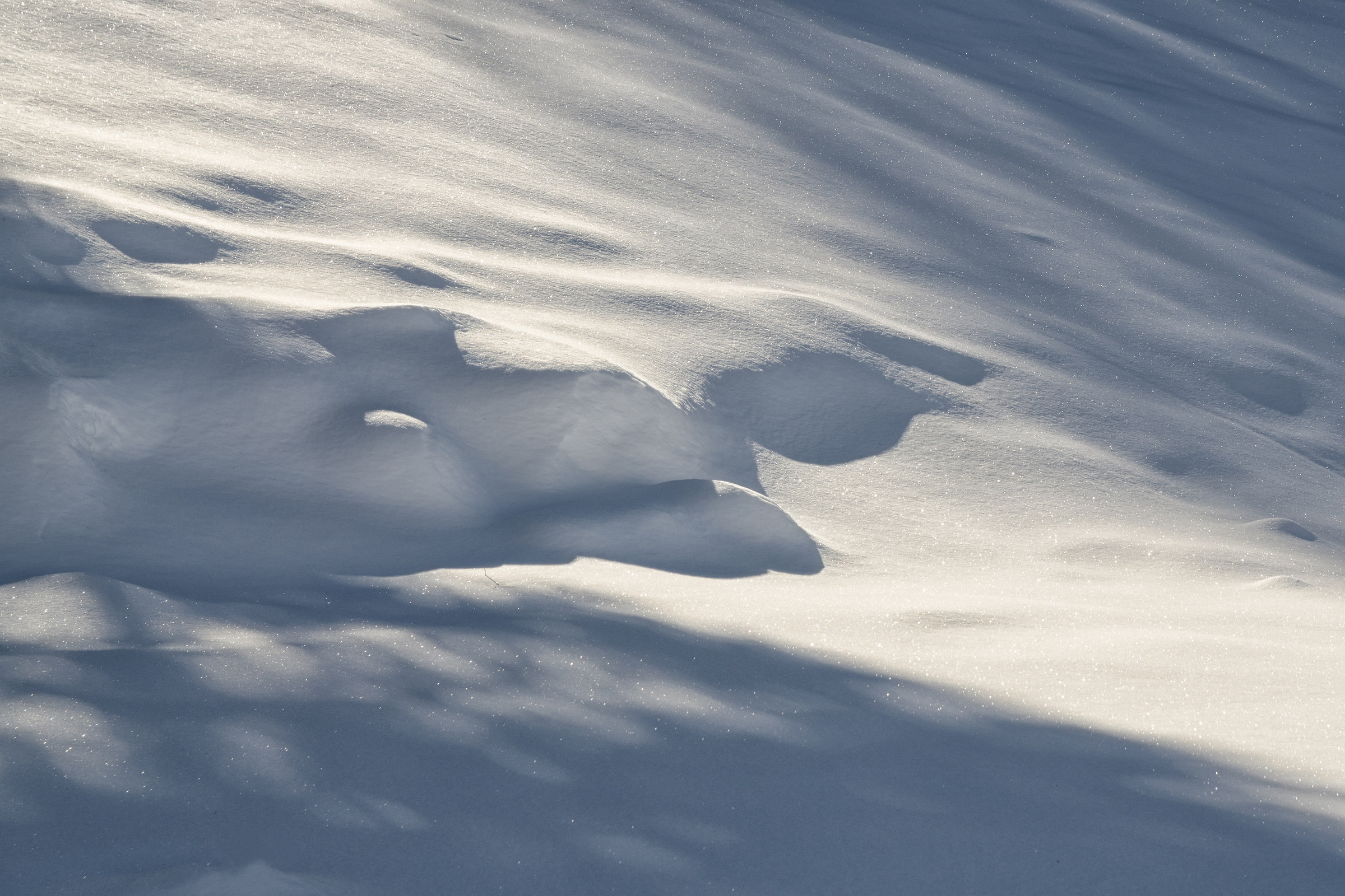 Shadows and lights on the snow