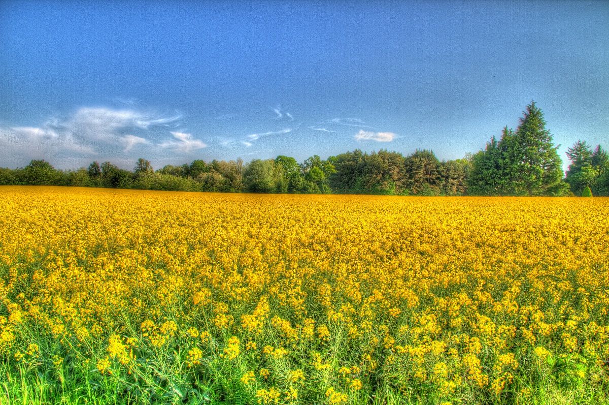 Quanto spazio la fuori.