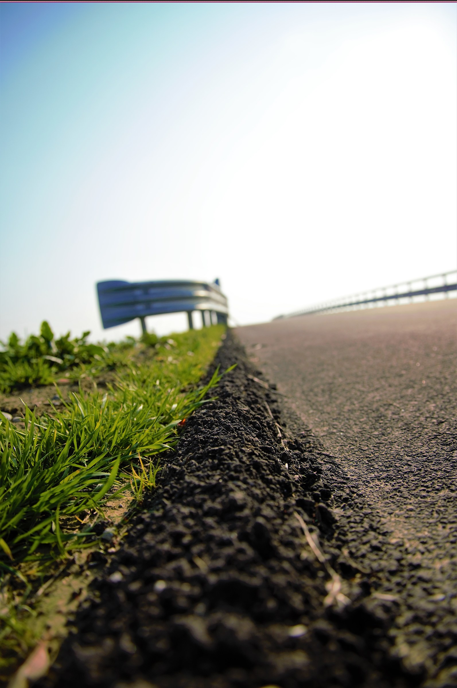 Tra asfalto e natura