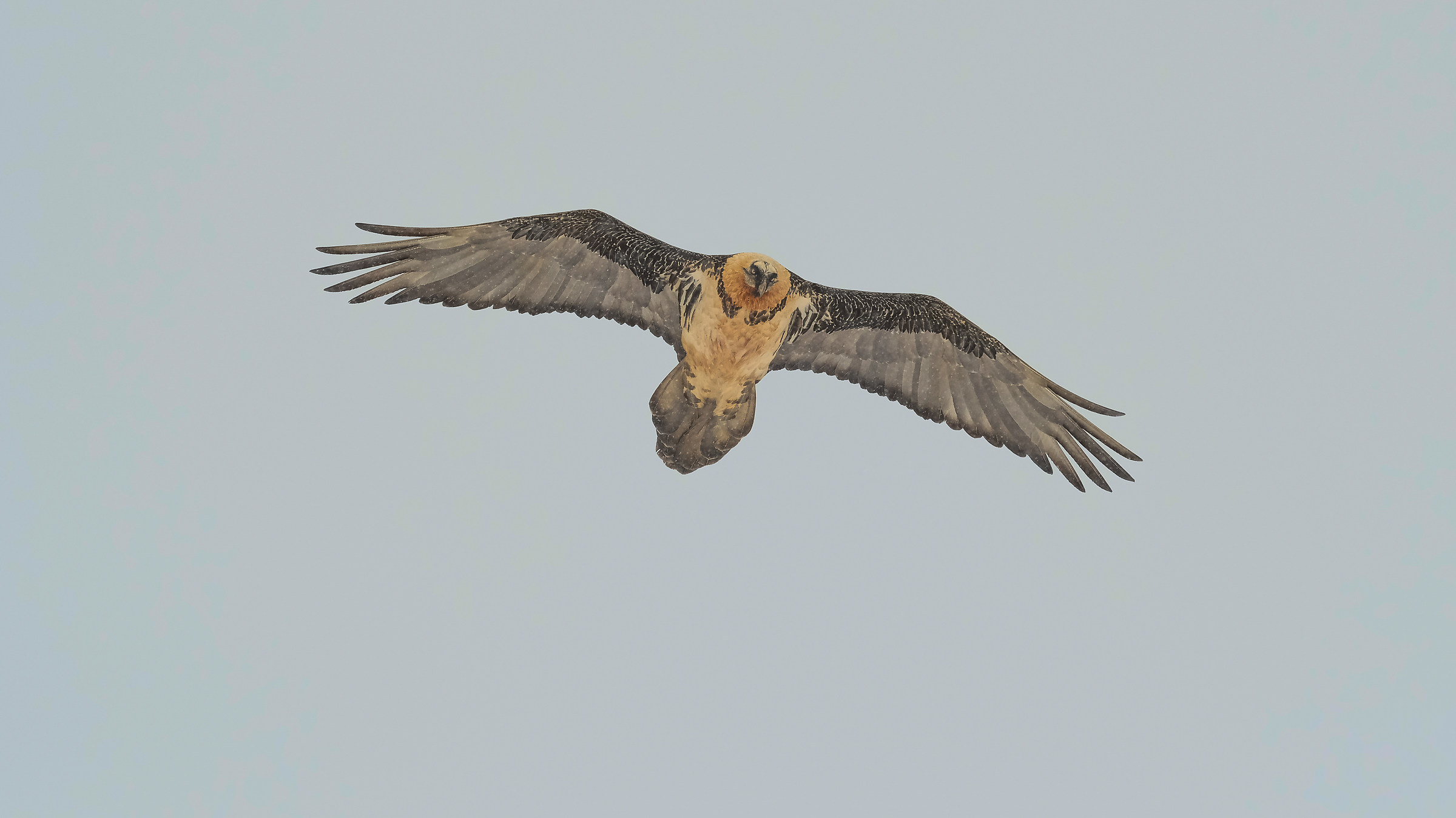 meeting at high altitude