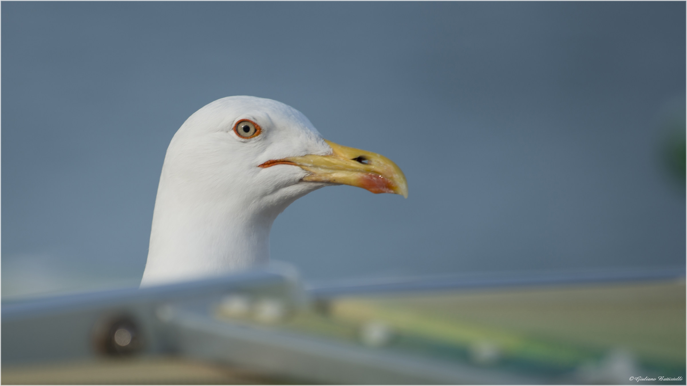 I'm looking for a deck chair ...